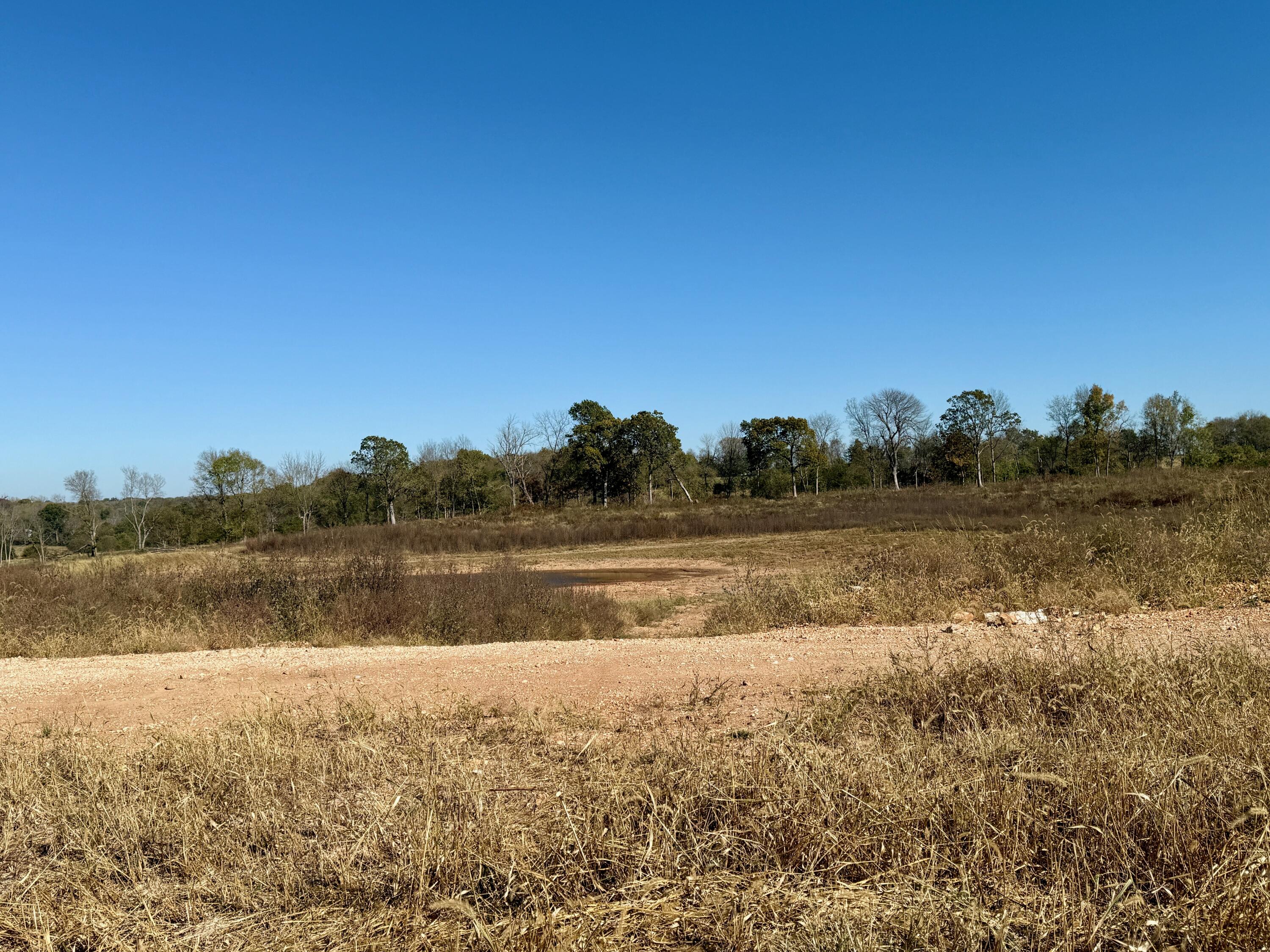 Photo of 908 S Stonewall Road Republic MO 65738