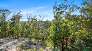 Photo of Lot 11 Wilshire Boulevard Pineville MO 64856