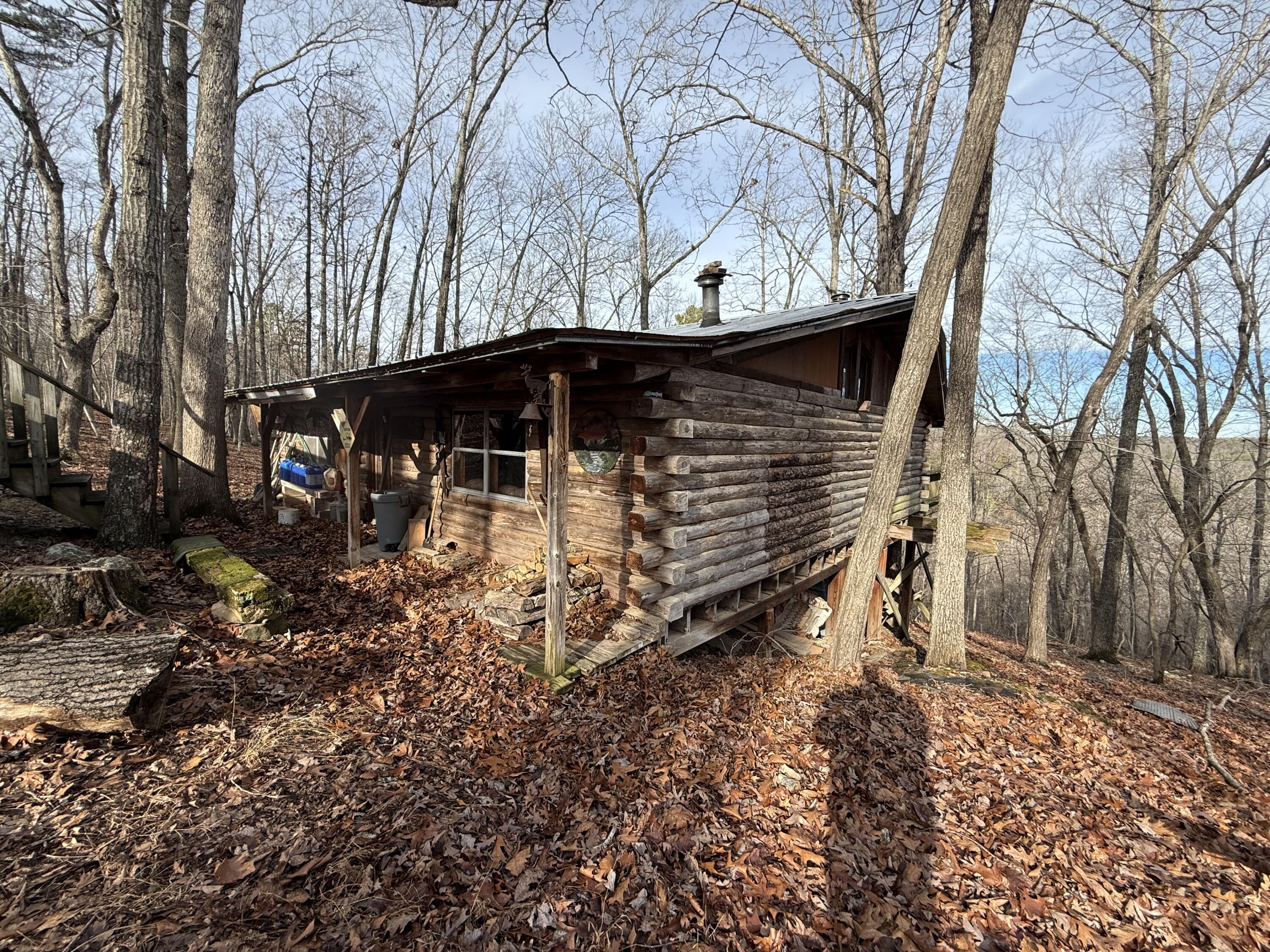 Photo of No Address Listed Birch Tree MO 65438