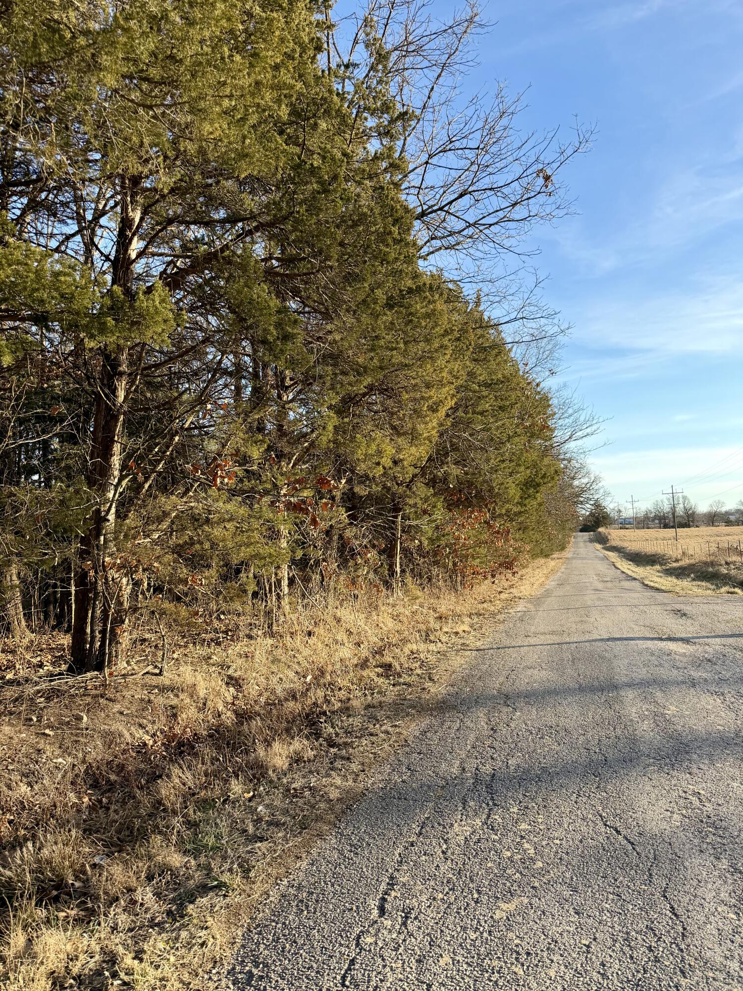 Photo of 000 S 25th Road Humansville MO 65674