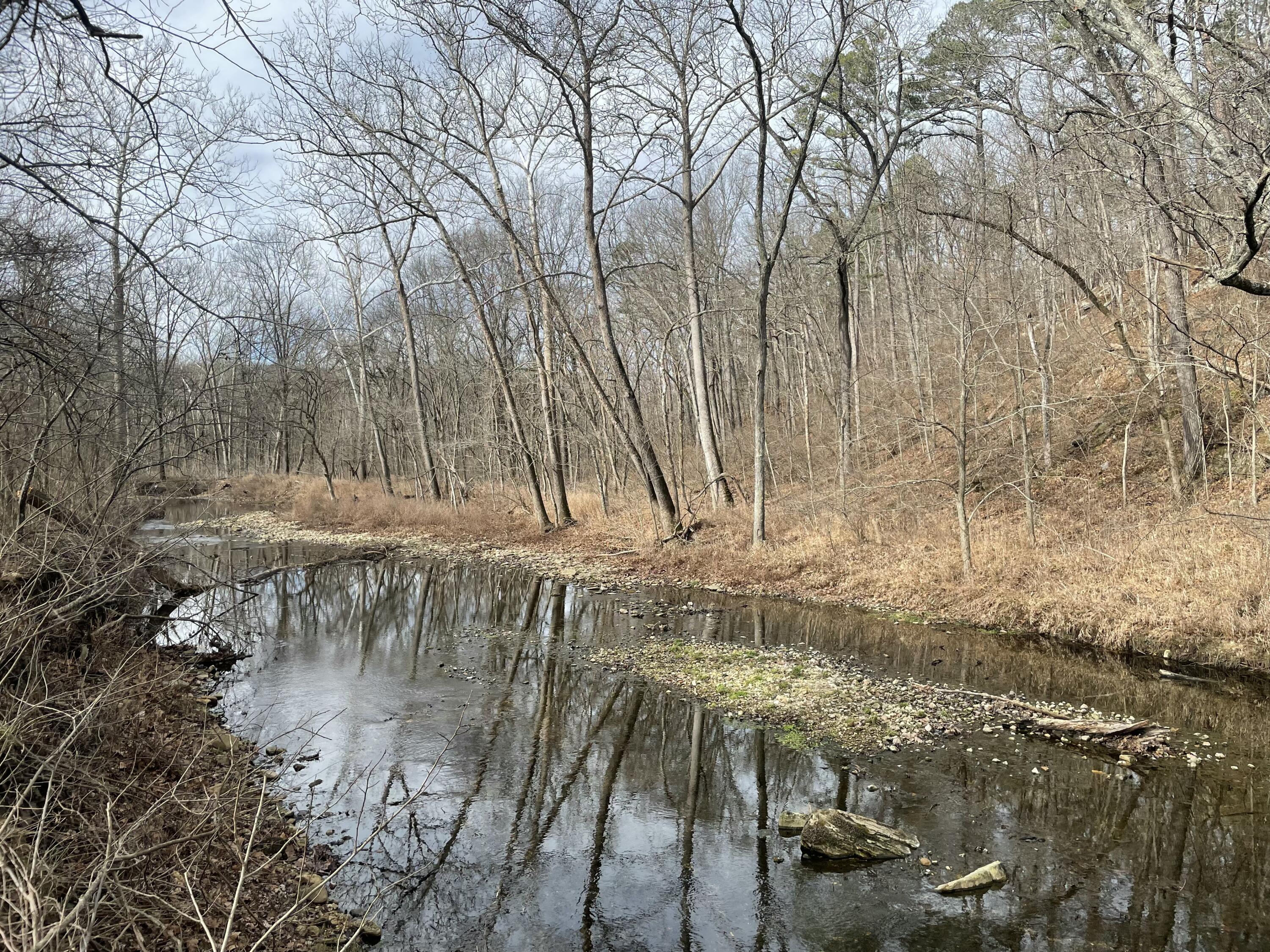 Photo of 000 Forest Drive Houston MO 65483