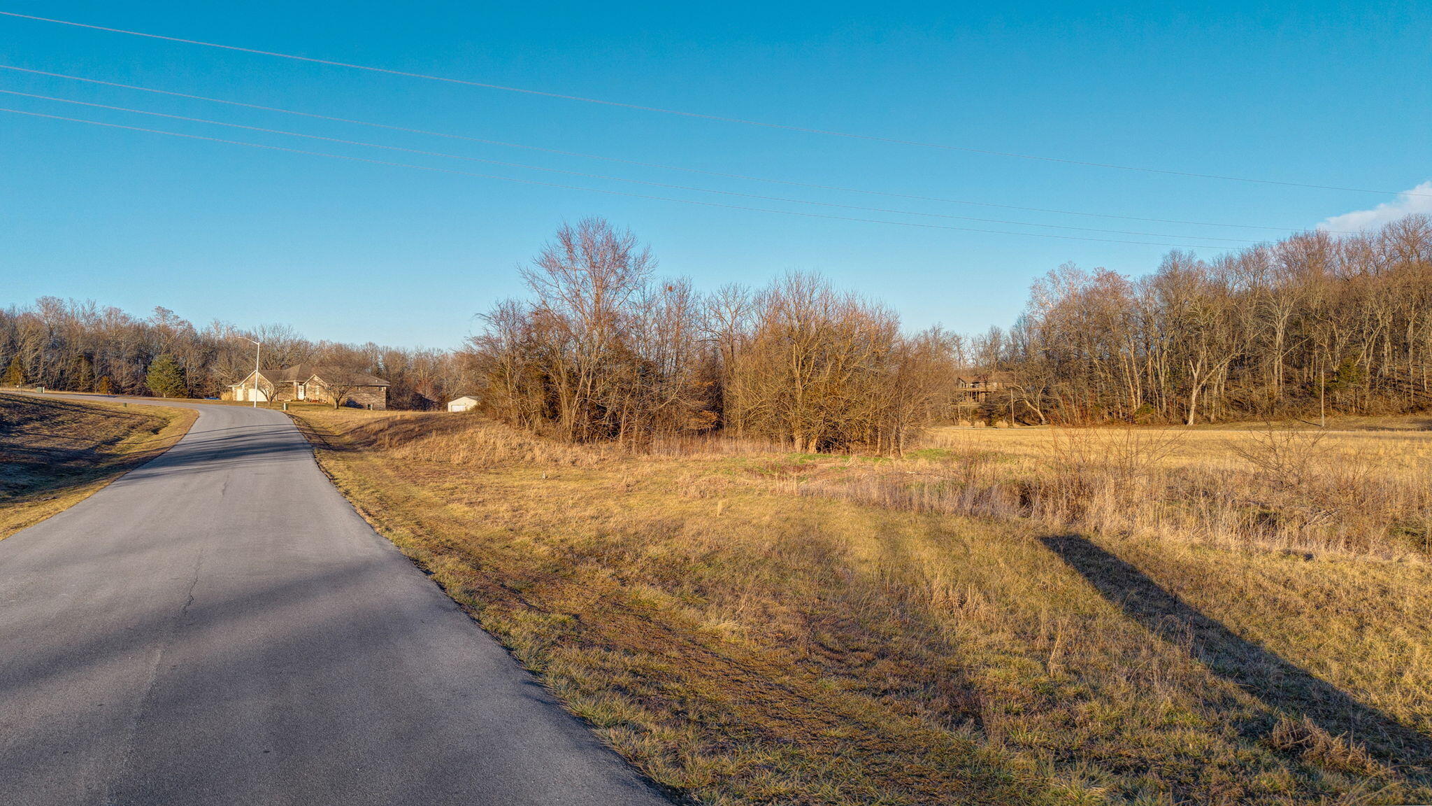 Photo of Lot 24 Cottage Gate Drive Billings MO 65610