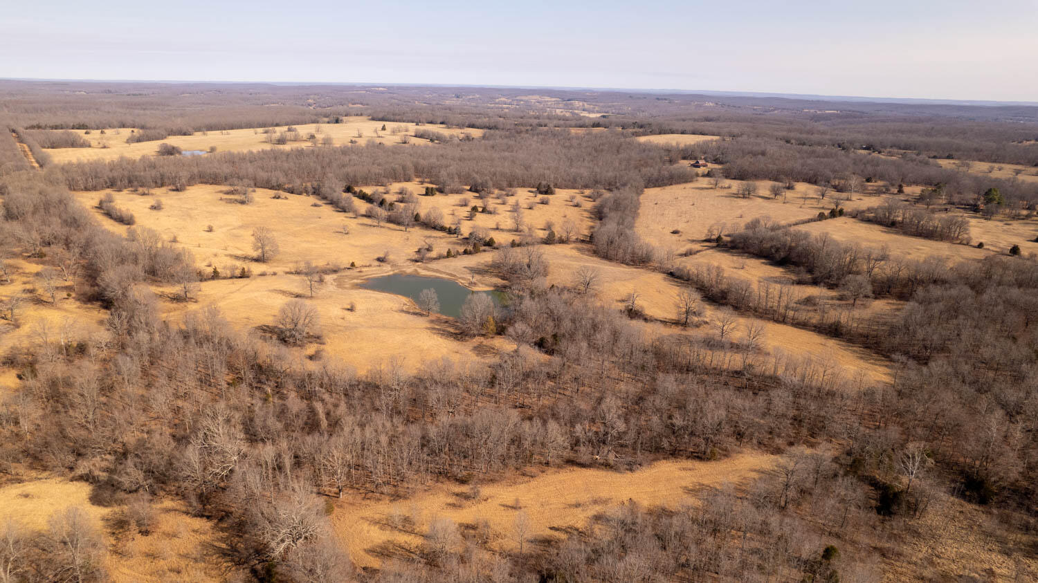 Photo of 000 Pleasant Run Road Mammoth Spring AR 72554
