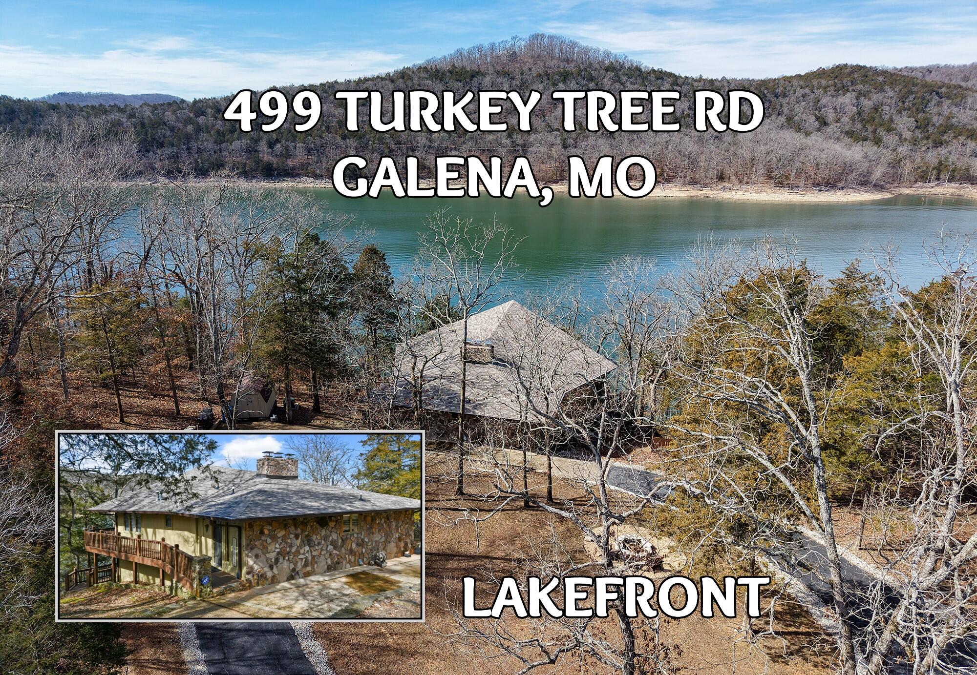 Photo of 499 Turkey Tree Road Galena MO 65656