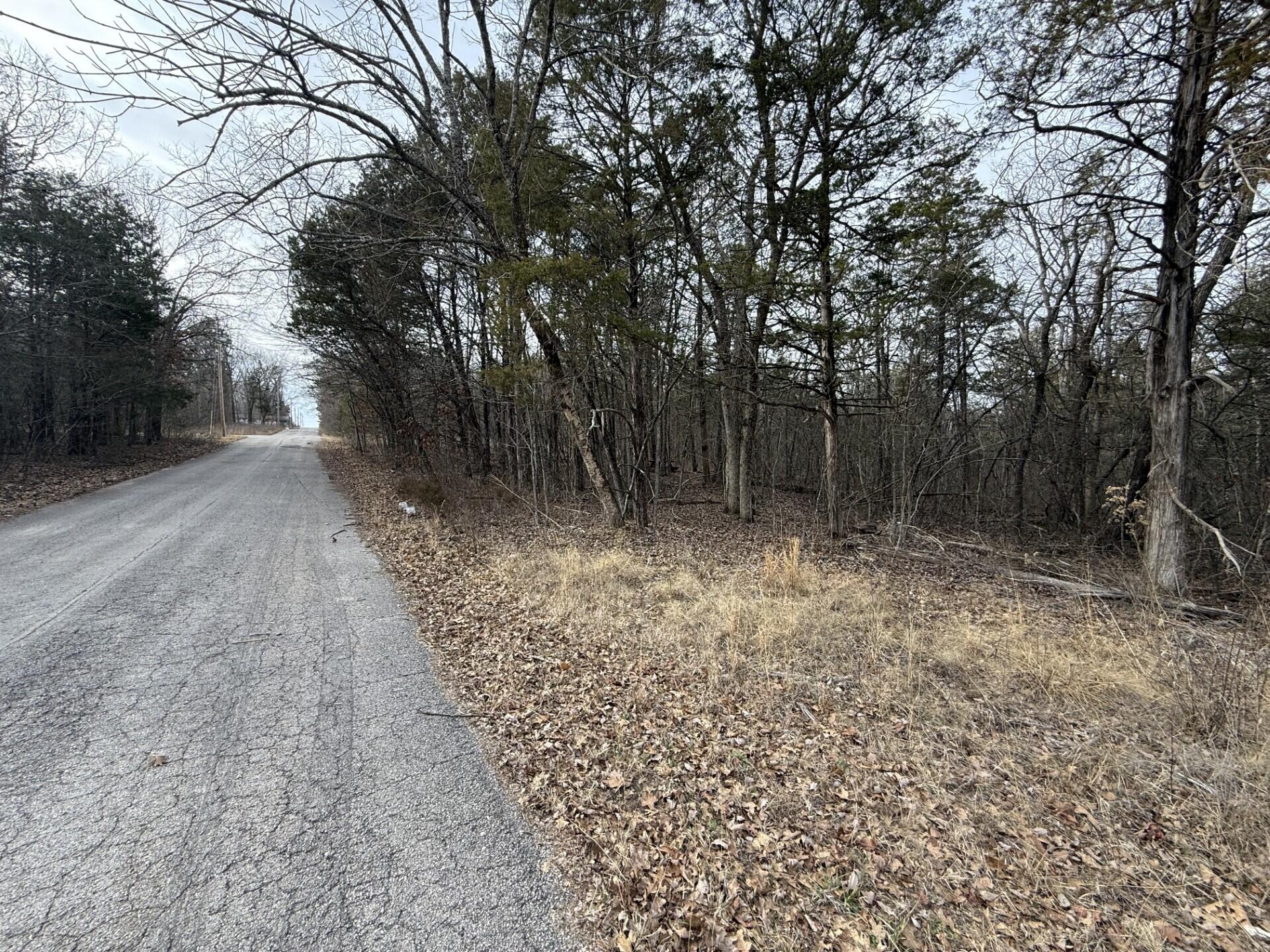 Photo of 130, 131 Turkey Mountain Estates #2 Shell Knob MO 65747