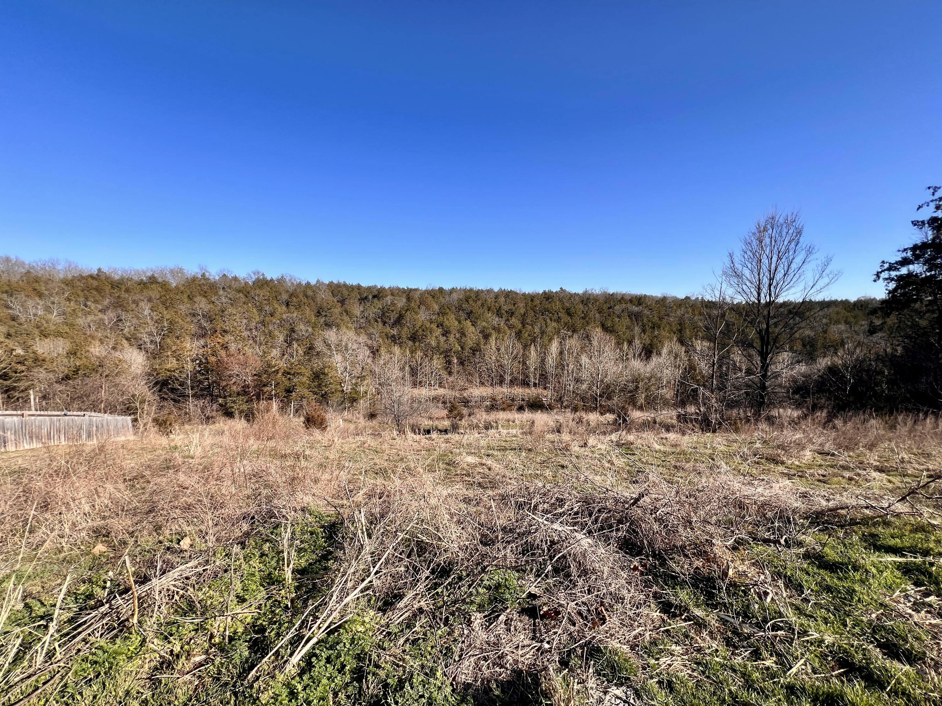Photo of 121 Jury Lane Branson MO 65616