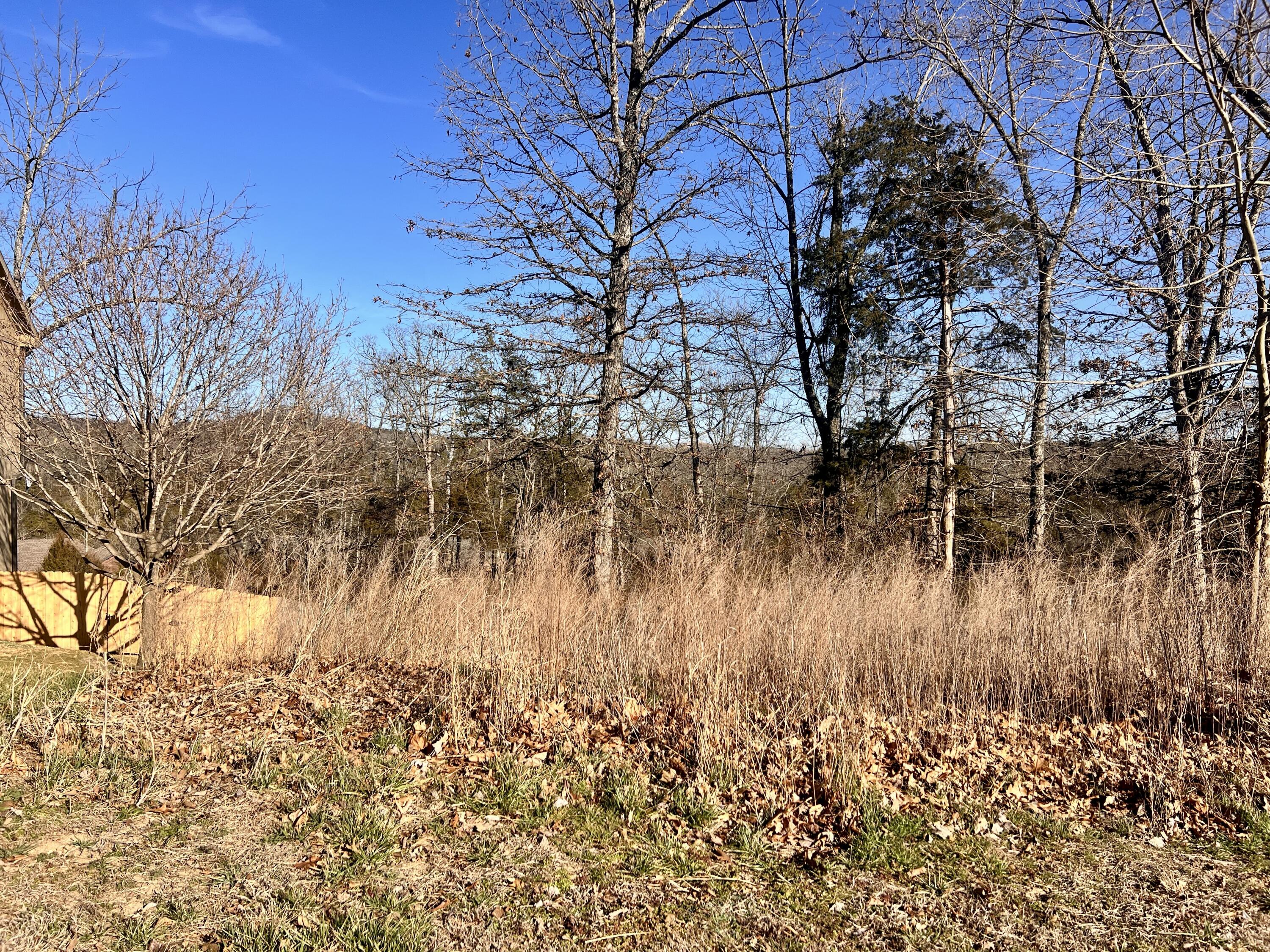 Photo of 186 Country Ridge Way Branson MO 65616