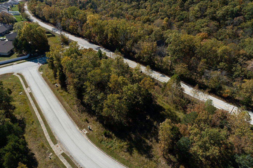 Photo of Lot 3 Redwine Avenue Branson MO 65616