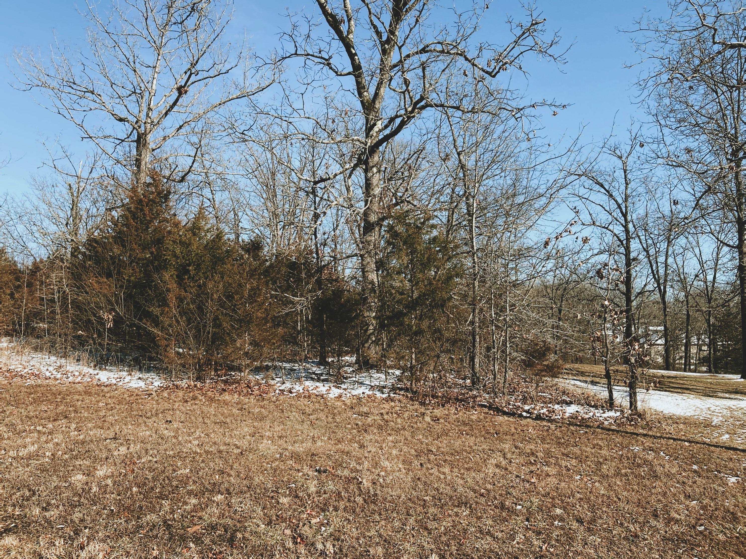 Photo of 000 Rhonda Drive Lot 1 West Plains MO 65775