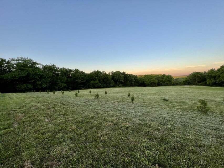 Photo of 5915 S Farm Rd 139 Springfield MO 65810
