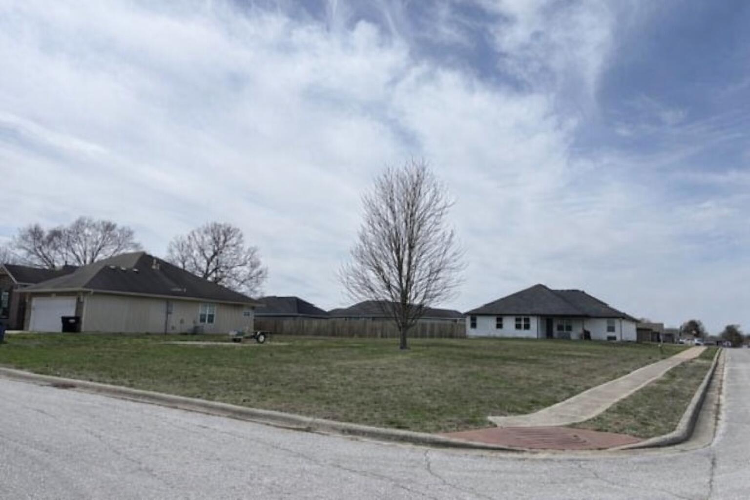 Photo of 797 N Lexington Avenue Republic MO 65738