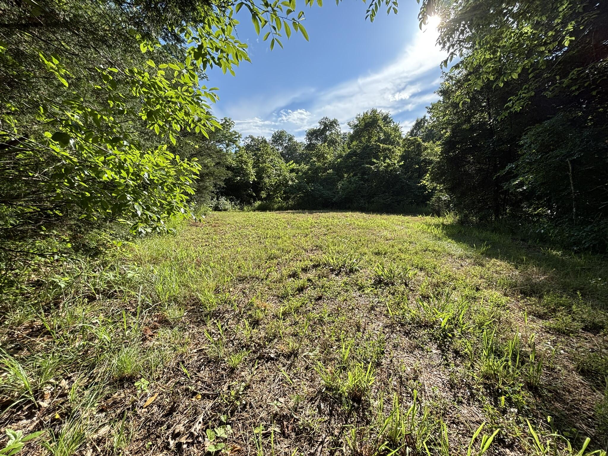 Photo of 000 Private Drive County Road 803b Gainesville MO 65655