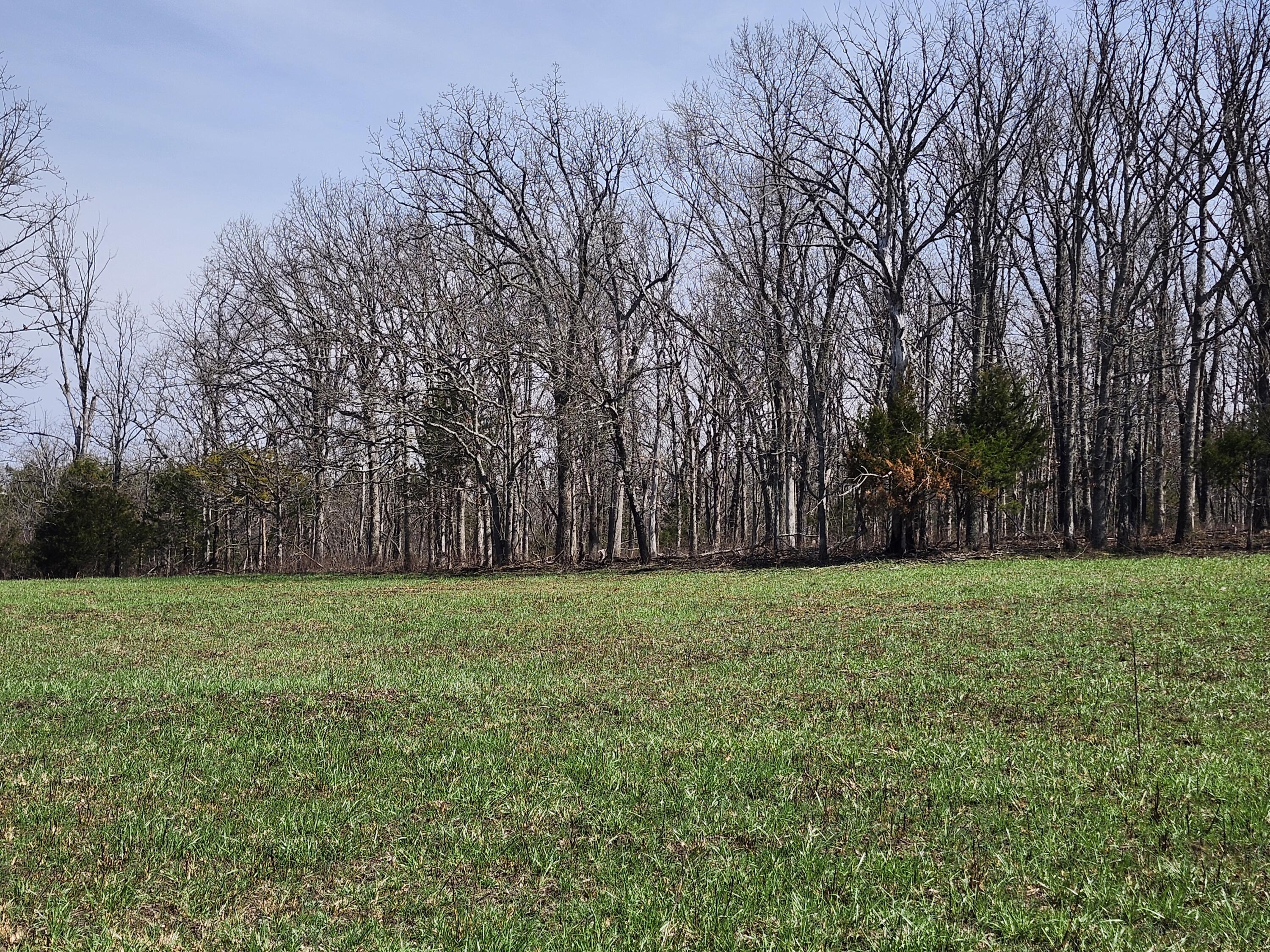 Photo of Tbd Huggins Road Huggins MO 65484