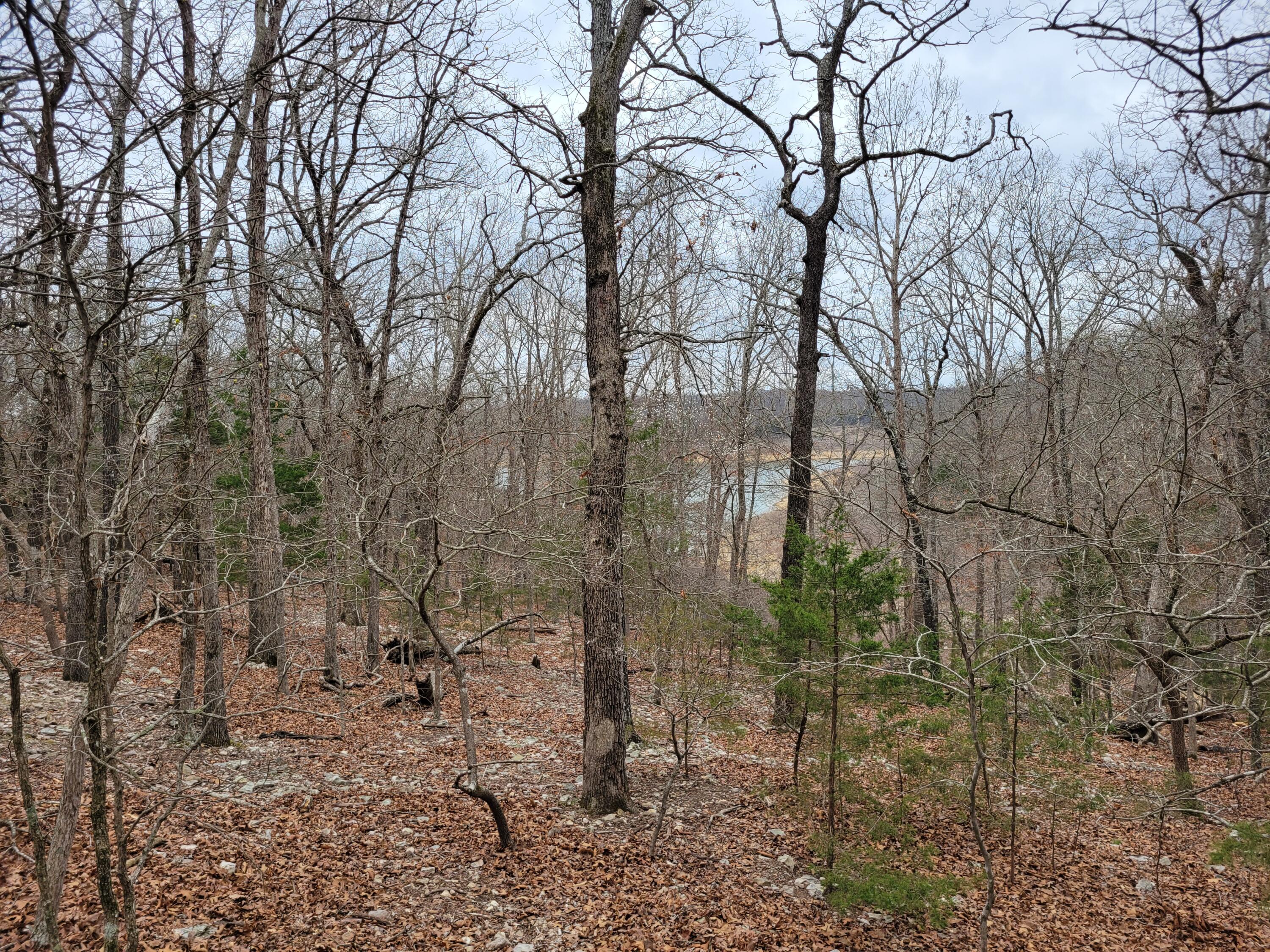 Photo of 000 Lost Mine Road Theodosia MO 65761