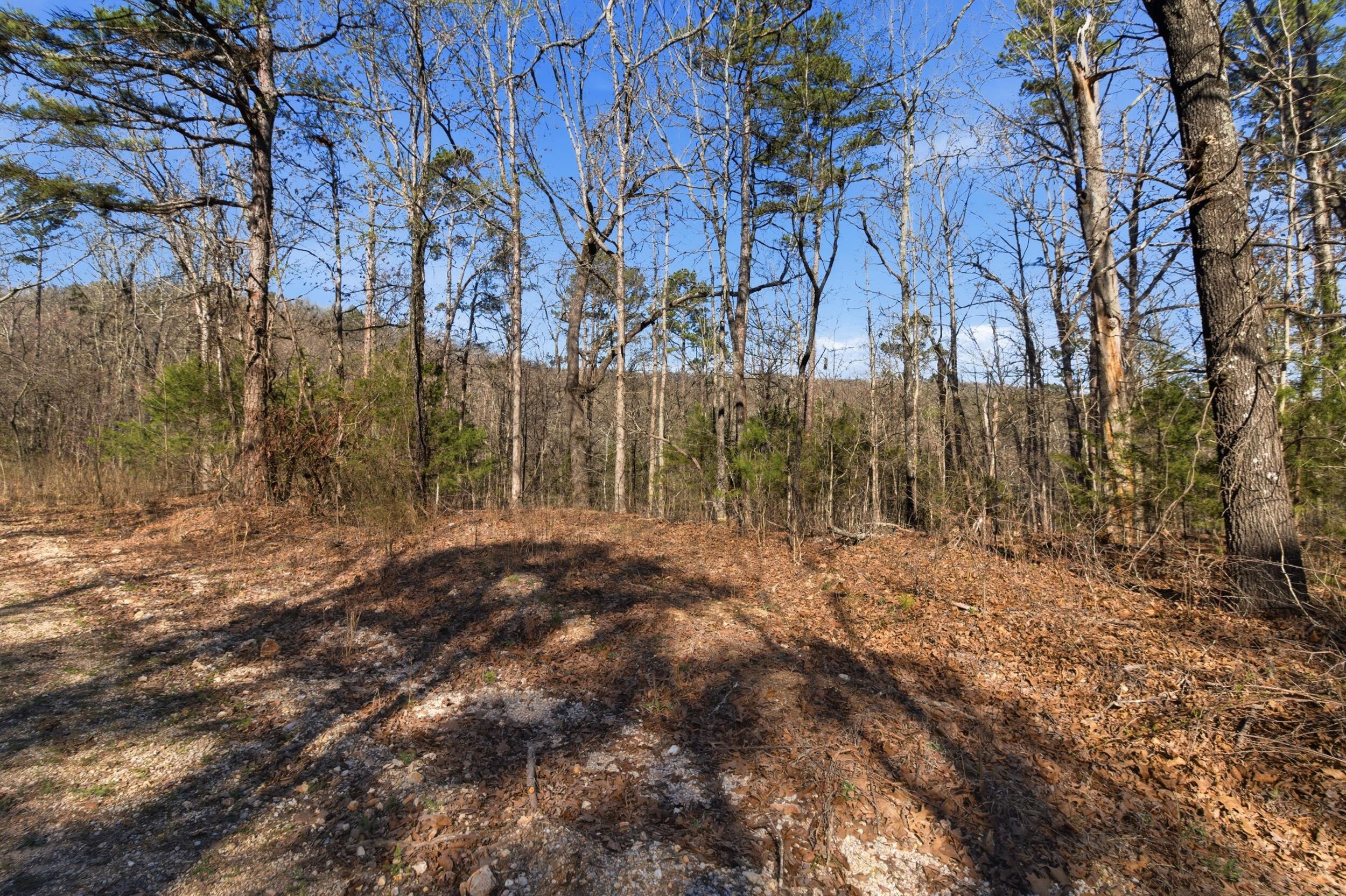 Photo of 000 County Road 158 Gainesville MO 65655