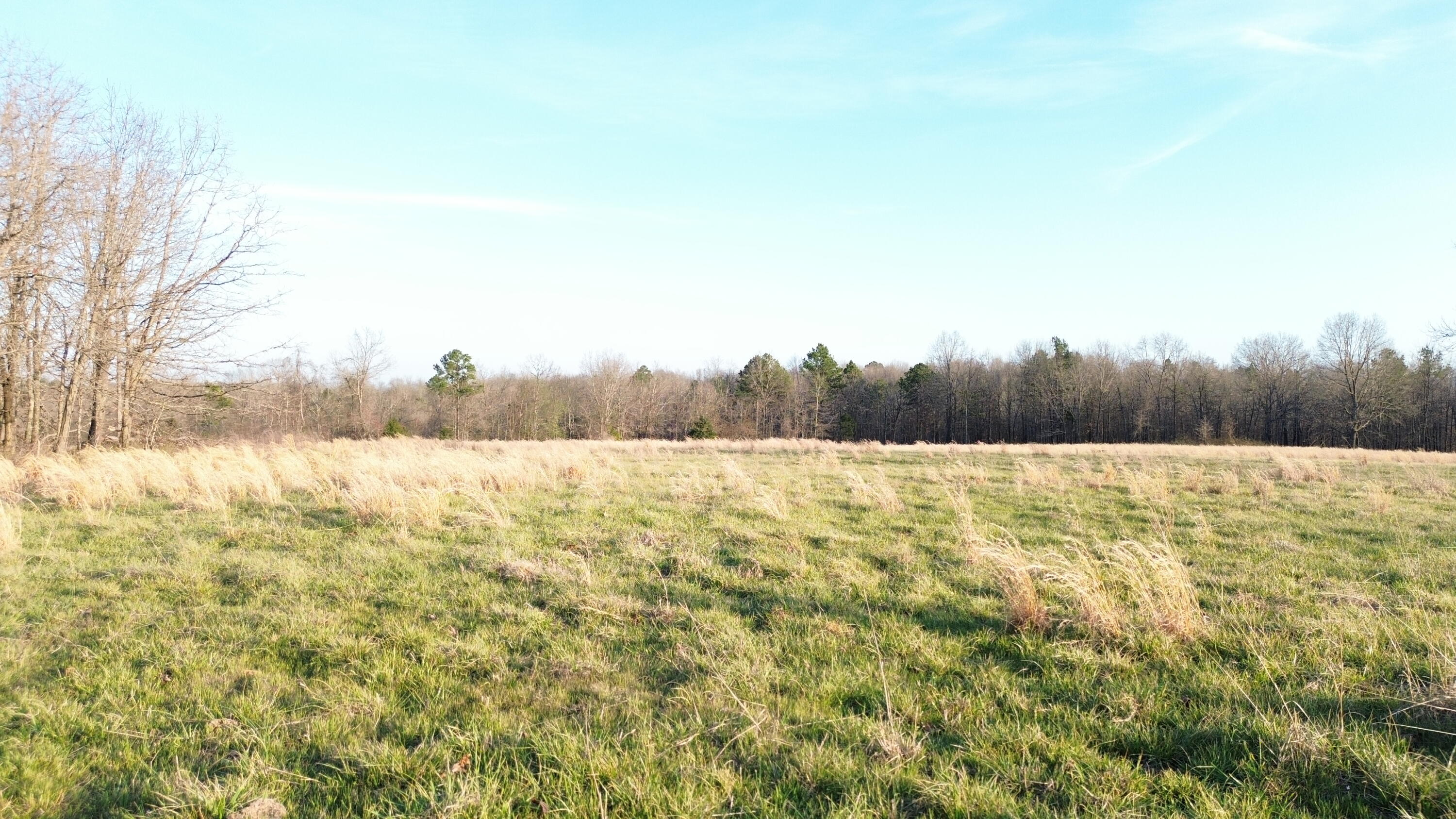 Photo of Tract #1 County Road Ww-A Summersville MO 65571