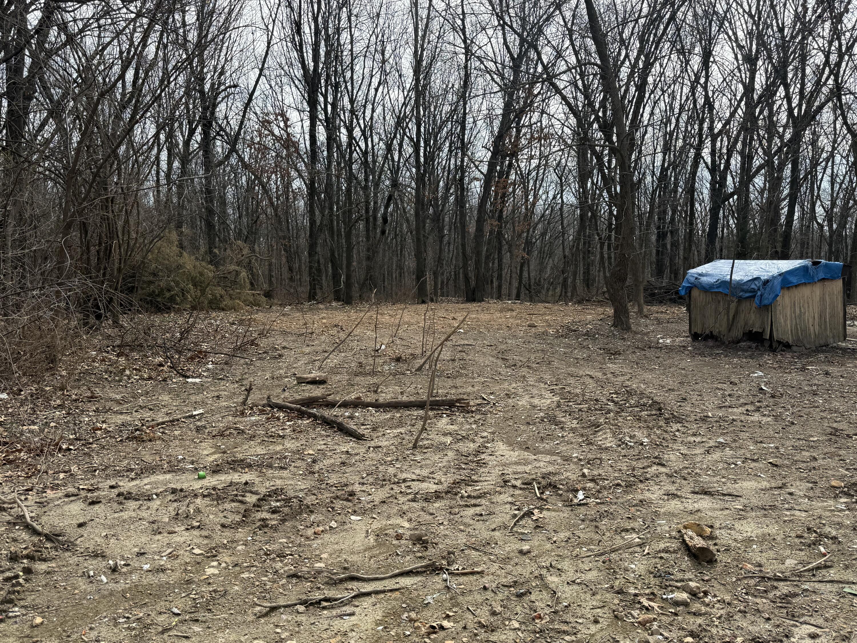 Photo of 5116 State Highway Ww Verona MO 65769