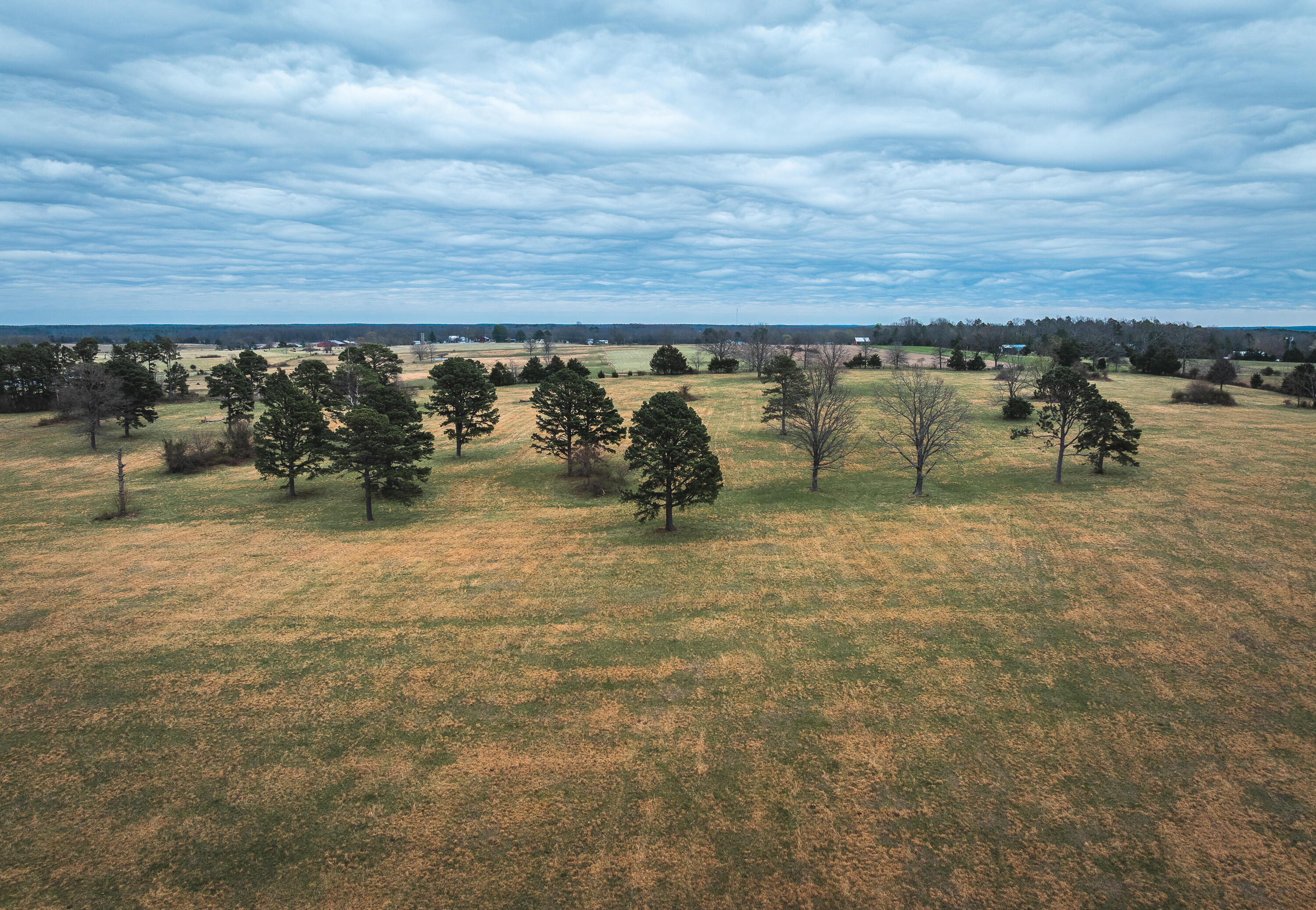 Photo of 000 Dewitt Drive Hartshorn MO 65479