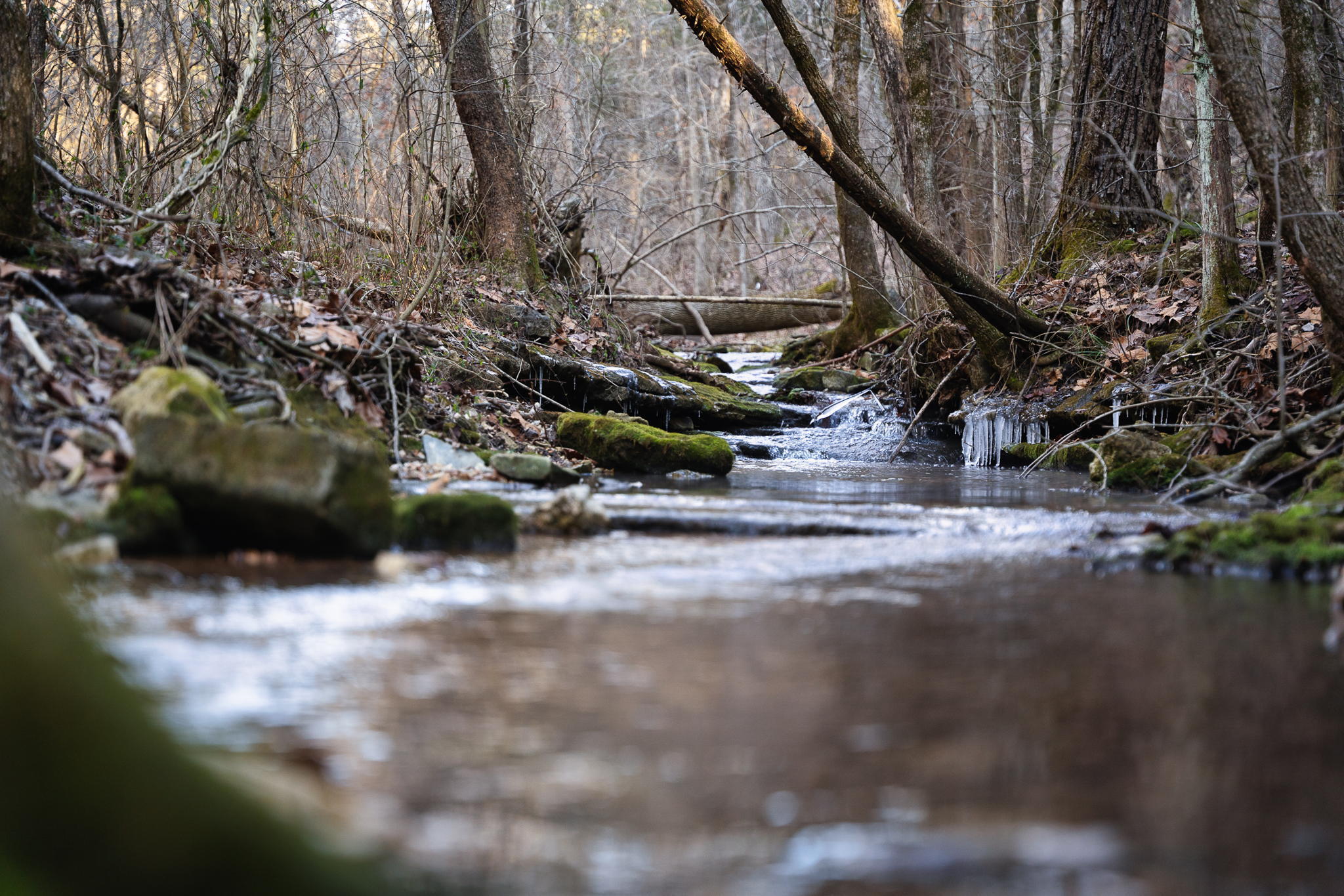Photo of Tbd Northwoods Drive Kimberling City MO 65686