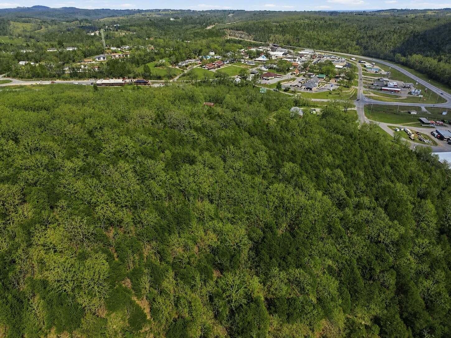 Photo of Lot 1 Mm Highway Gainesville MO 65655