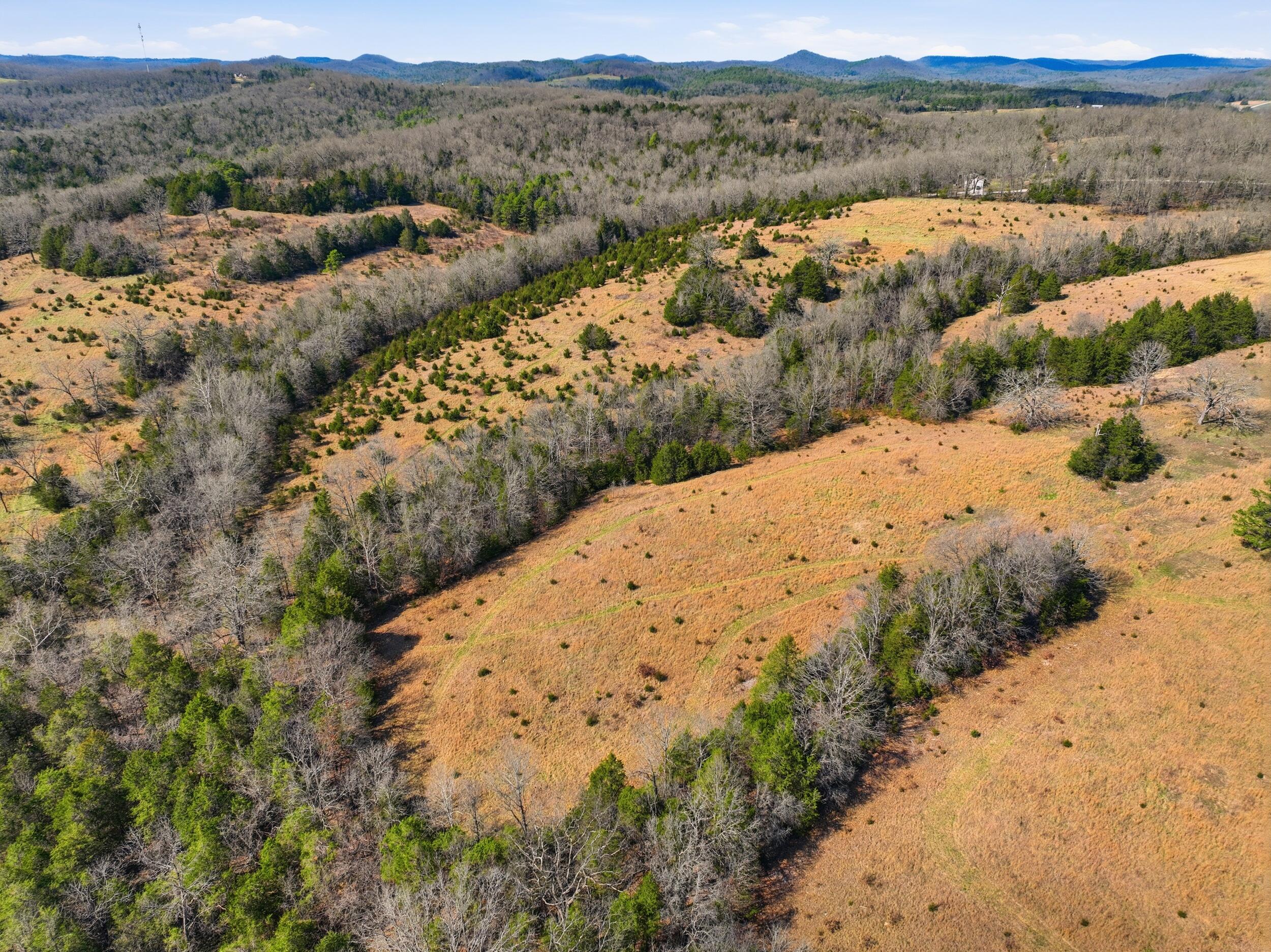 Photo of Lot 2 Fox Den Lane Street Gainesville MO 65655