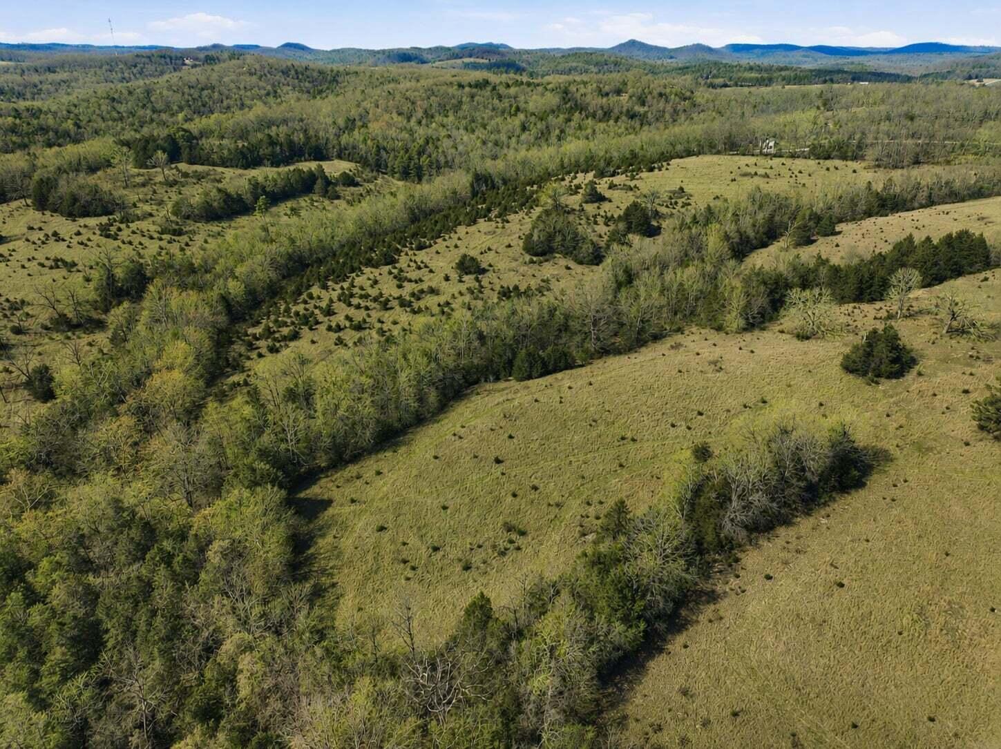 Photo of Lot 2 Fox Den Lane Street Gainesville MO 65655