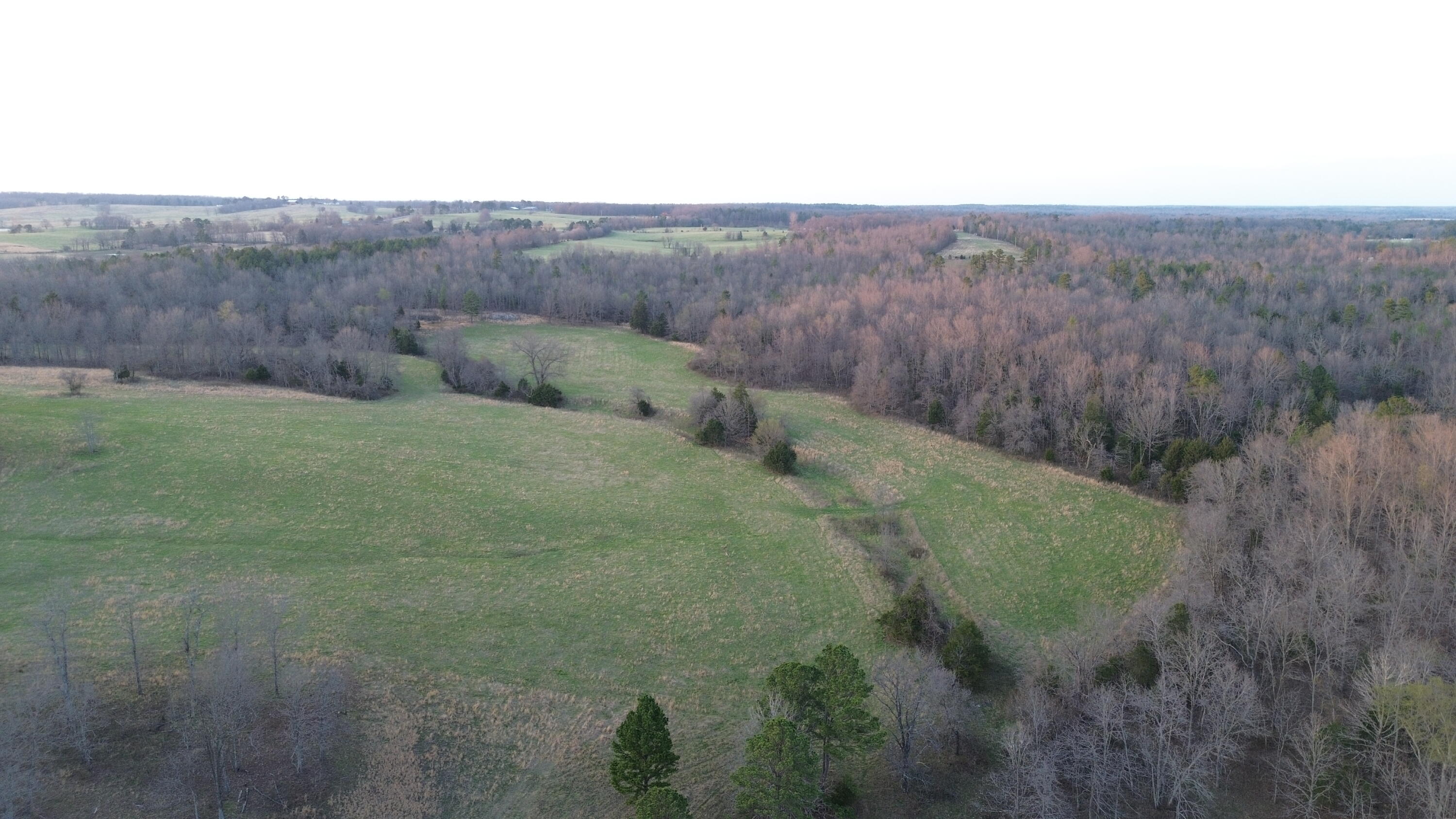 Photo of Tract #3 County Road Ww-A Summersville MO 65571