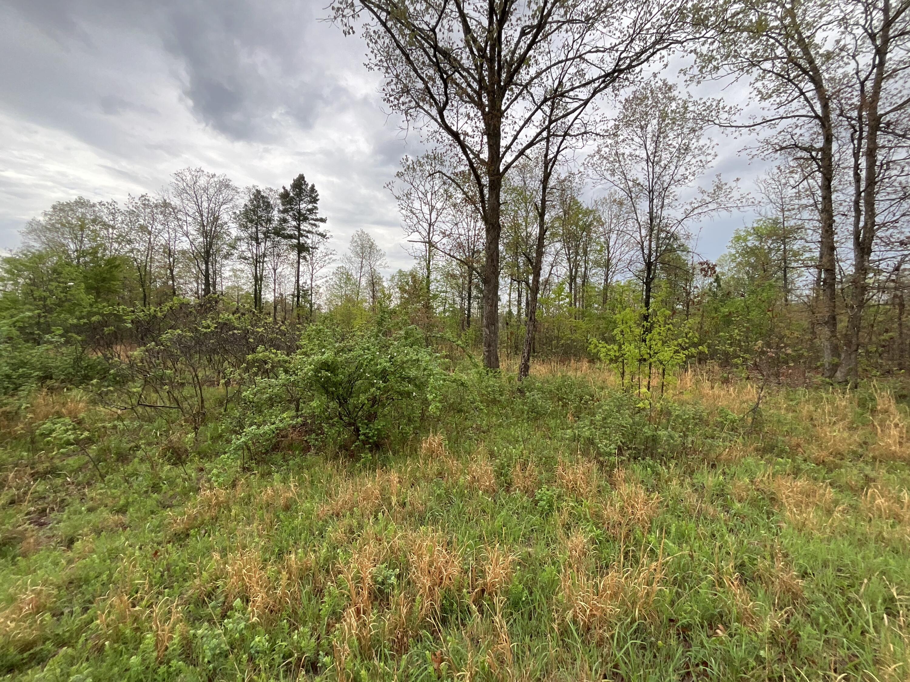 Photo of Lot 9 Lake Way Winona MO 65588