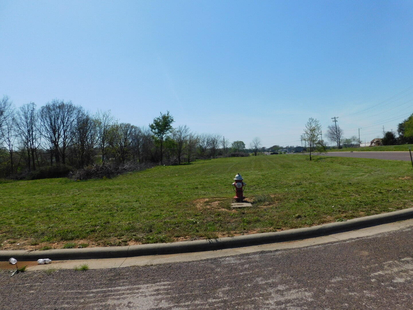 Photo of 000 Wellington Avenue Monett MO 65708
