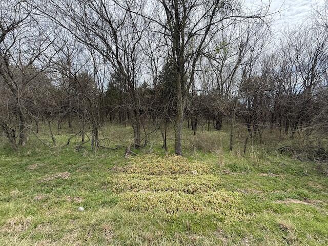 Photo of Xxx2 County Road 90 Sarcoxie MO 64862