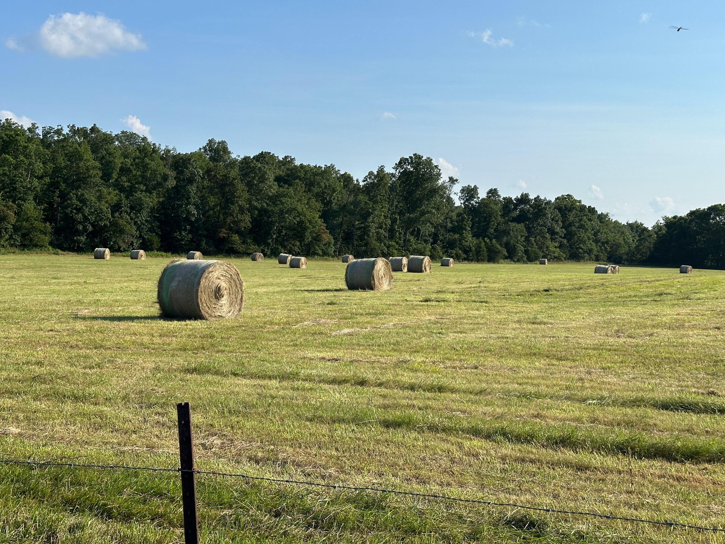 Photo of 4420 State Route Dd Willow Springs MO 65793