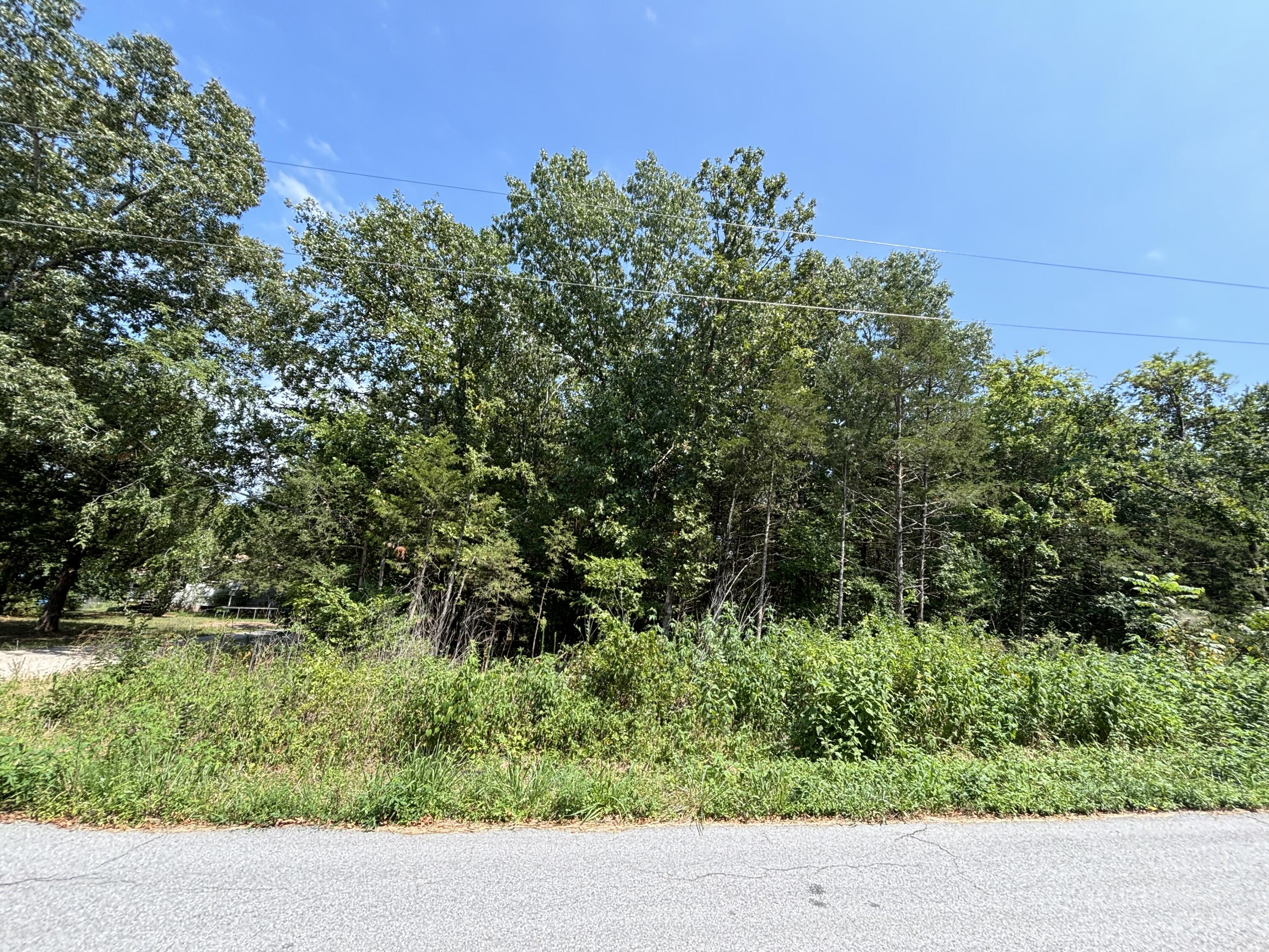 Photo of 000 Berry Lane Shell Knob MO 65747