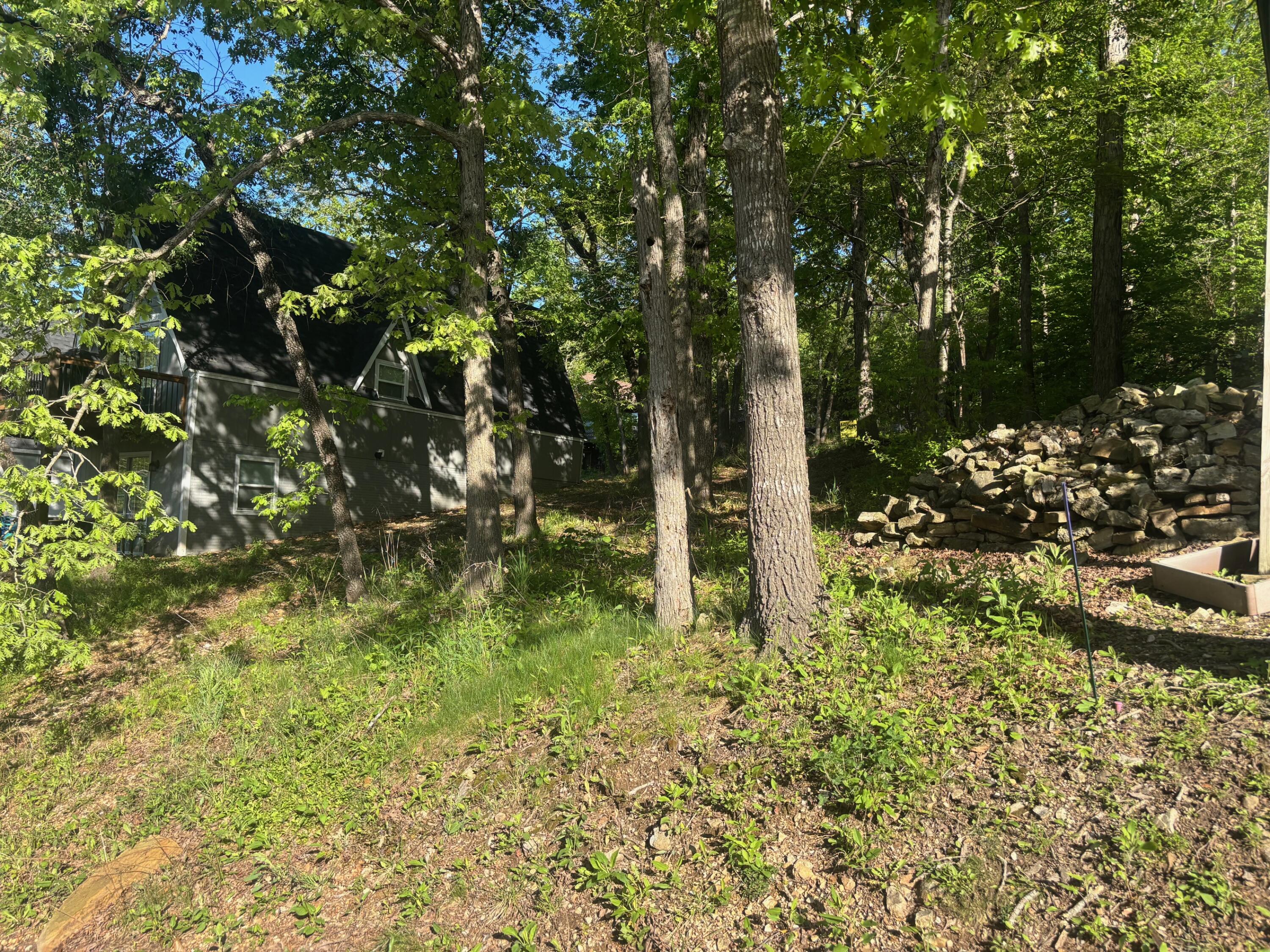 Photo of Tbd Black Oak Resort Lane Lampe MO 65681