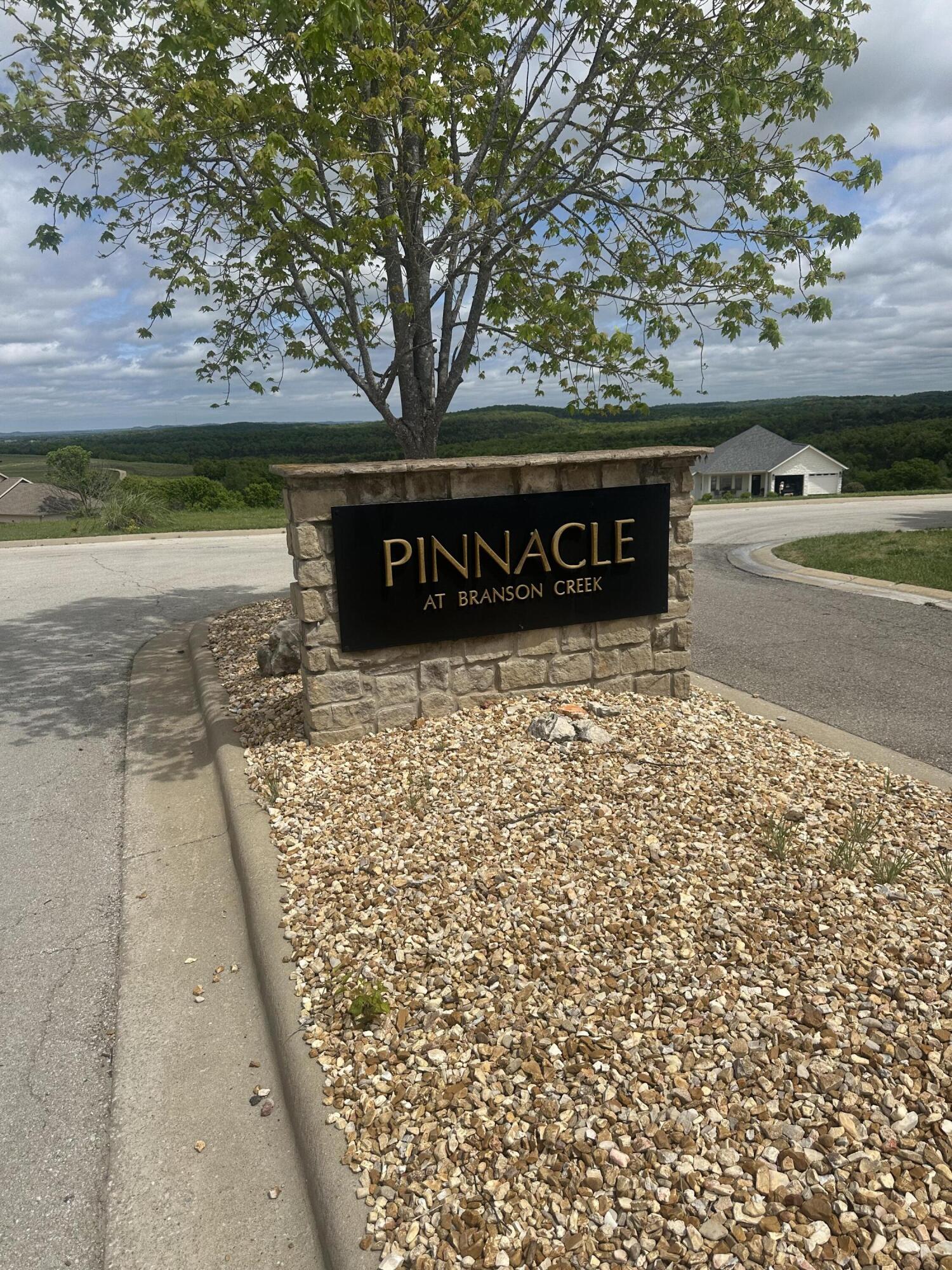 Photo of Tbd Pinnacle Circle Hollister MO 65672