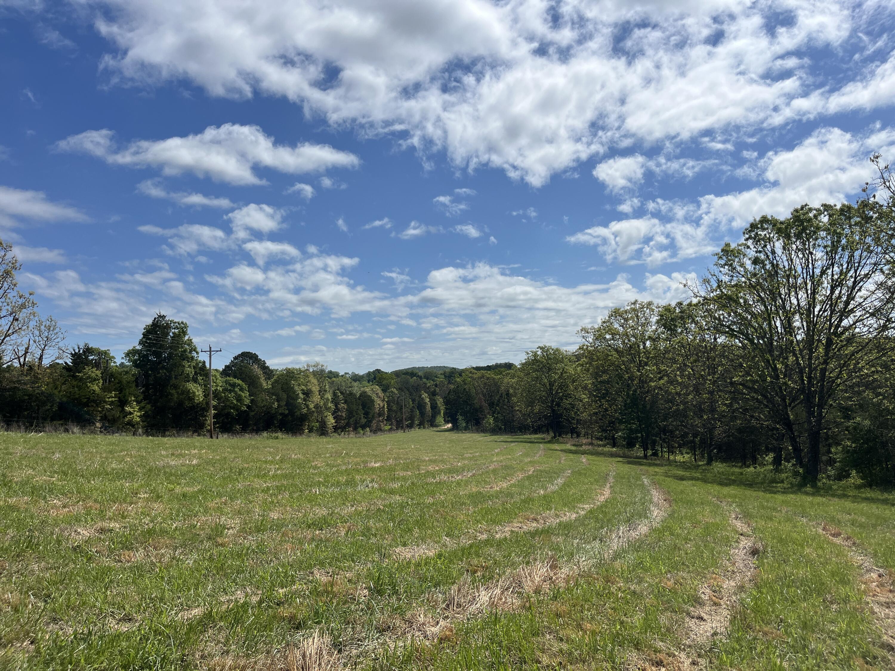 Photo of 000 County Road 350 Drury MO 65638