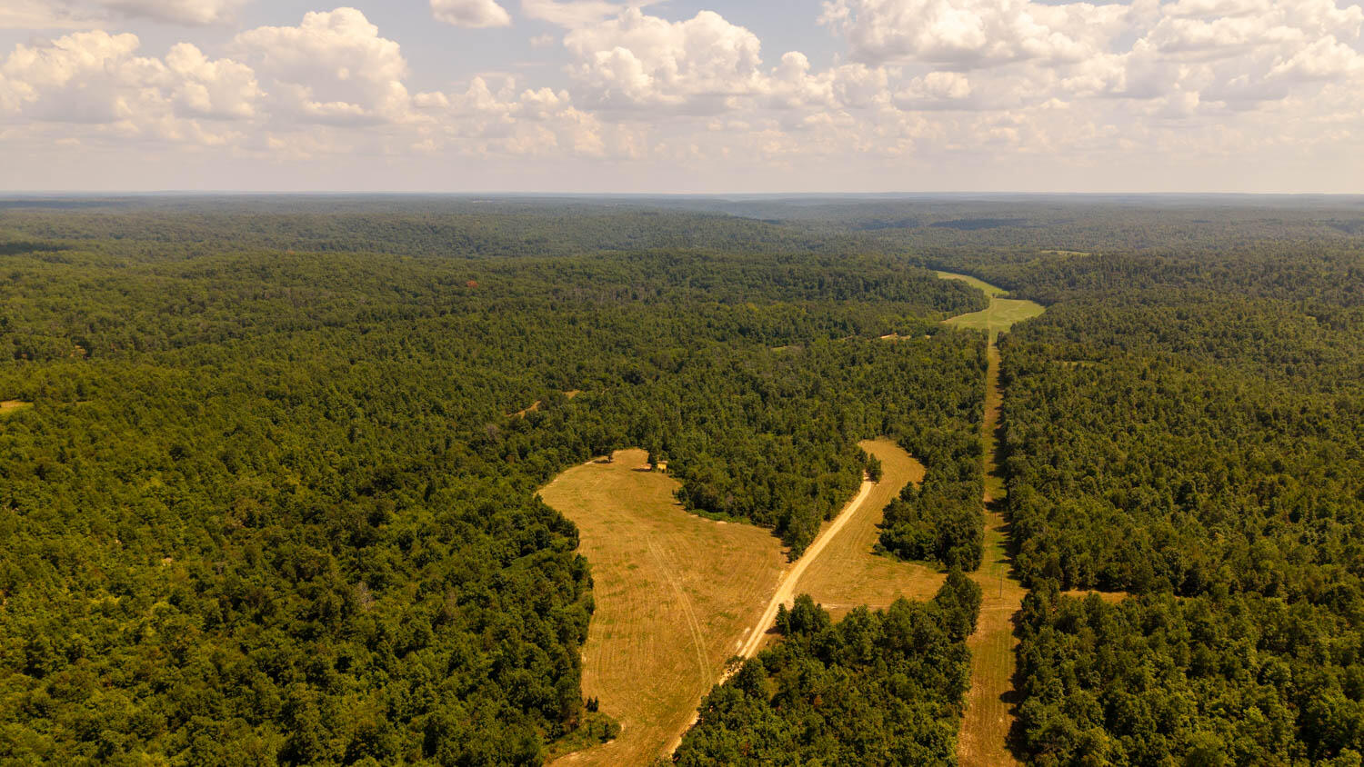 Photo of Tbd County Road 443 Birch Tree MO 65438