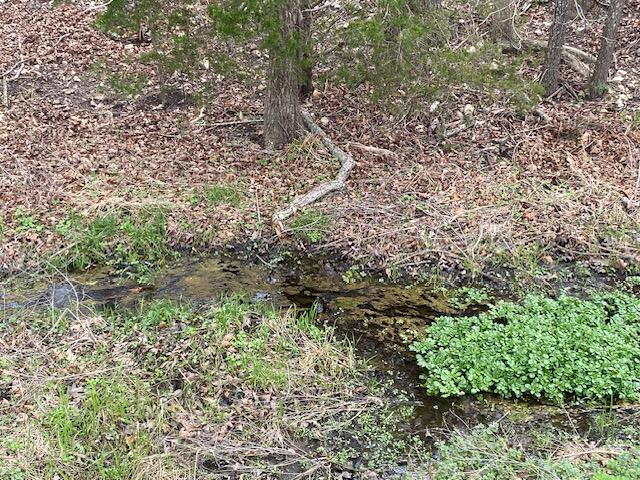 Photo of 000 Washboard Road Fordland MO 65652