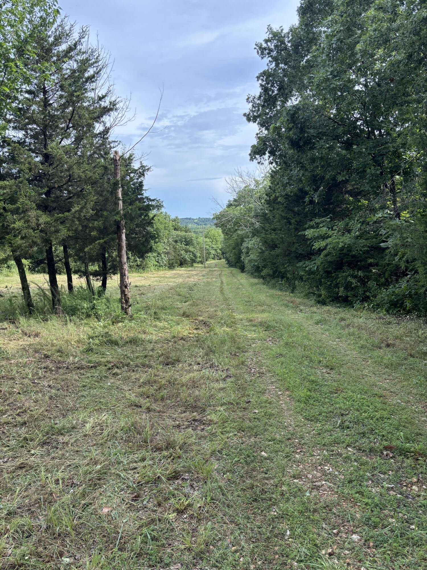 Photo of 000 Highway T Weaubleau MO 65774