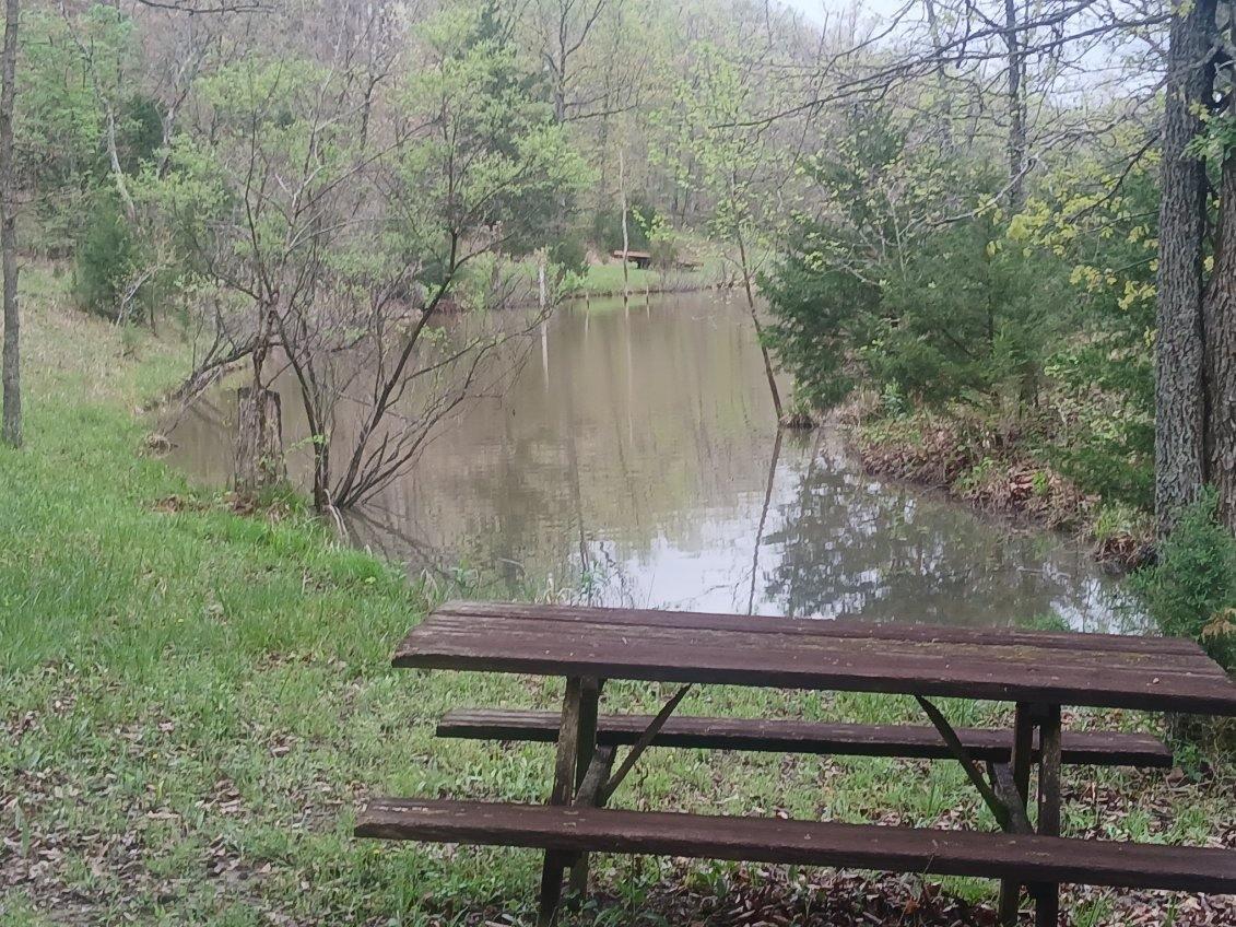 Photo of 40 Acres State Road D Camdenton MO 65020