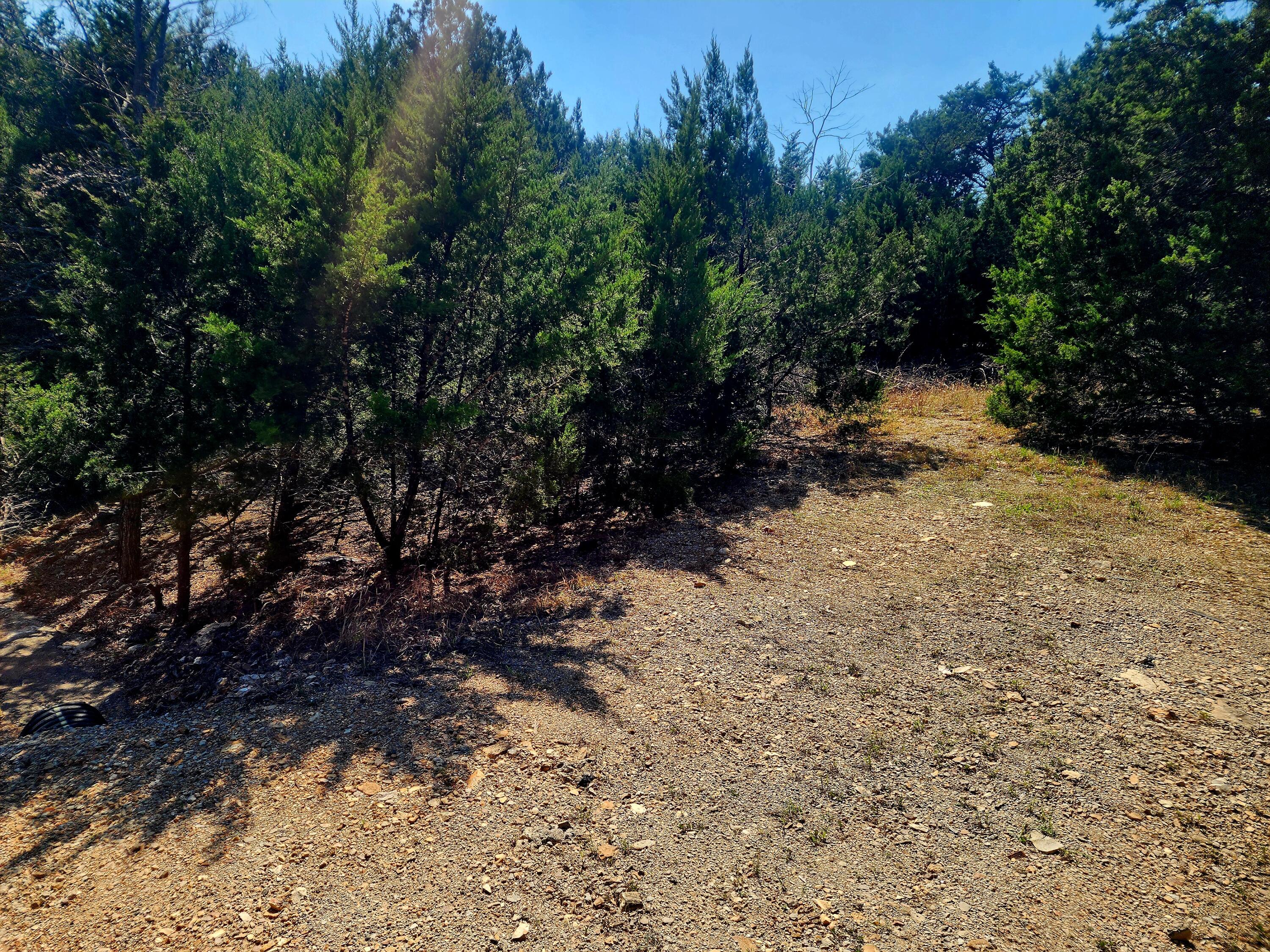 Photo of 76 Cedar Drive #Lot 4 Blk 9 Cape Fair MO 65624