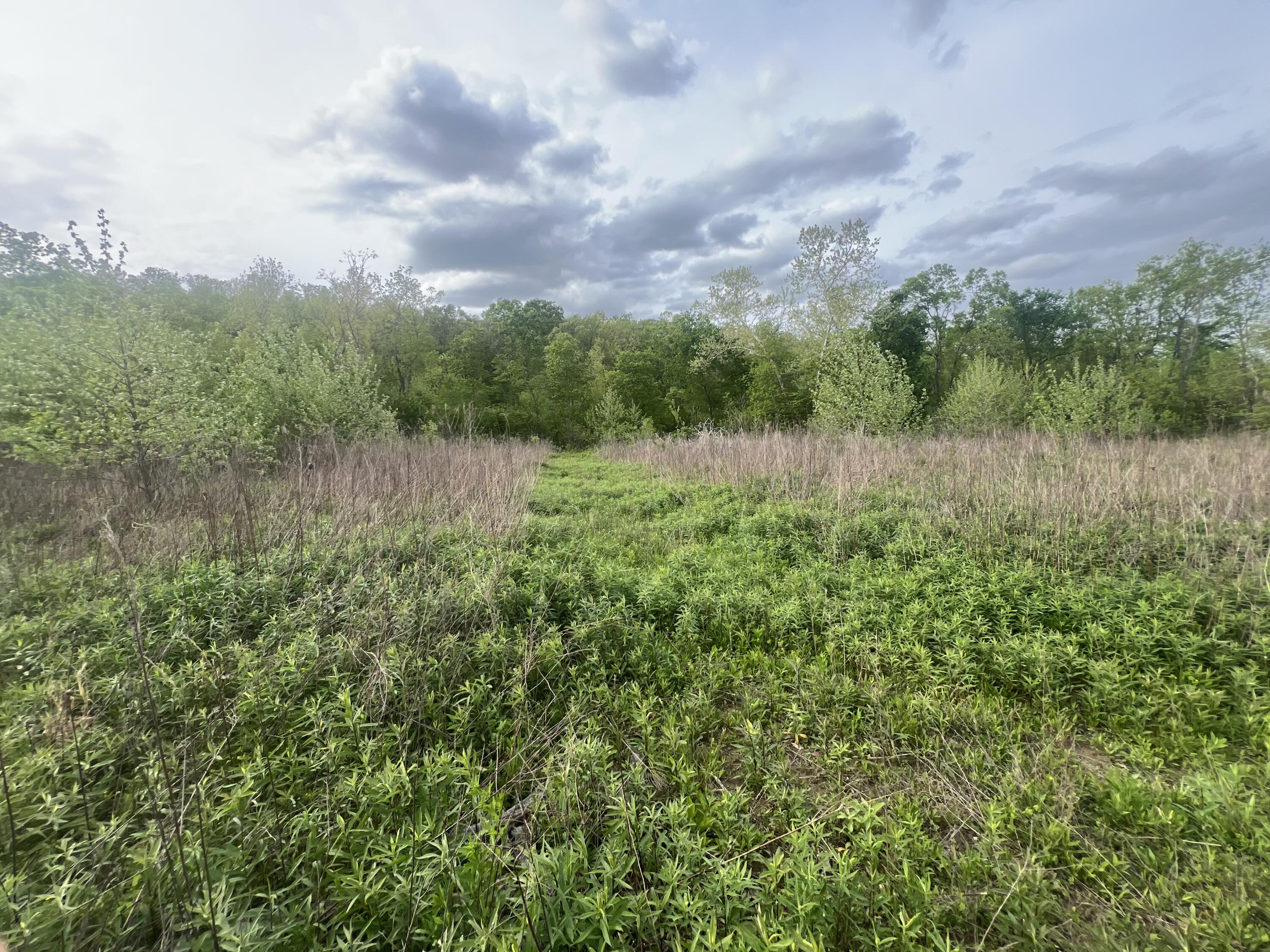 Photo of 0000 Cedar Gap Central Lane Mansfield MO 65704