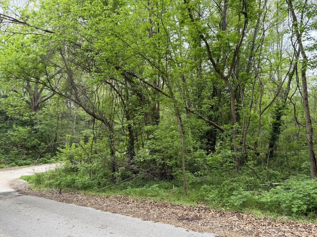 Photo of 000 Eureka Avenue Seligman MO 65745