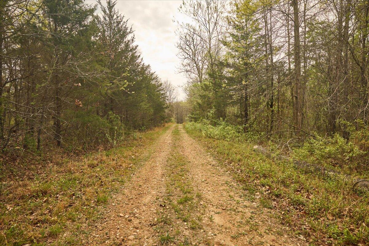 Photo of 000 Thirteenth Road Mountain Grove MO 65711