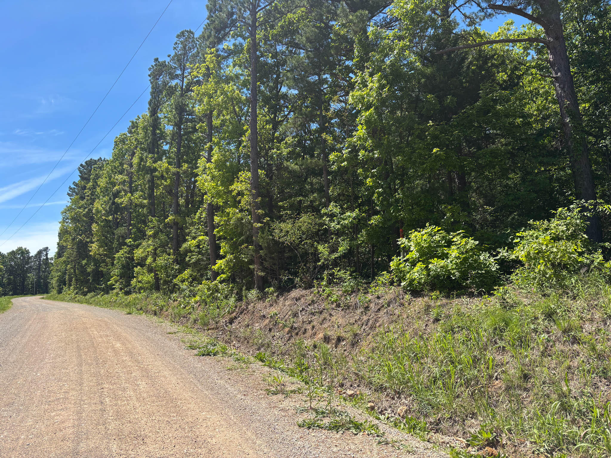 Photo of Tbd County Road 154 Brixey MO 65618