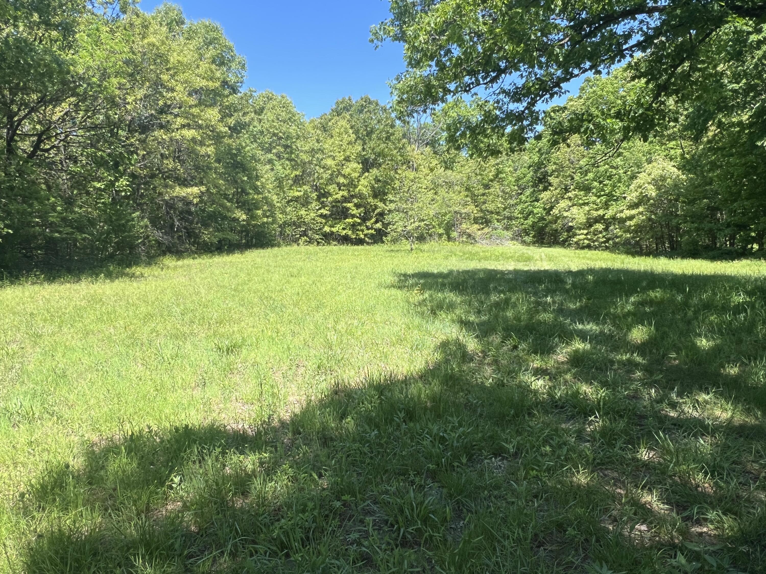 Photo of No Address Listed Humansville MO 65674