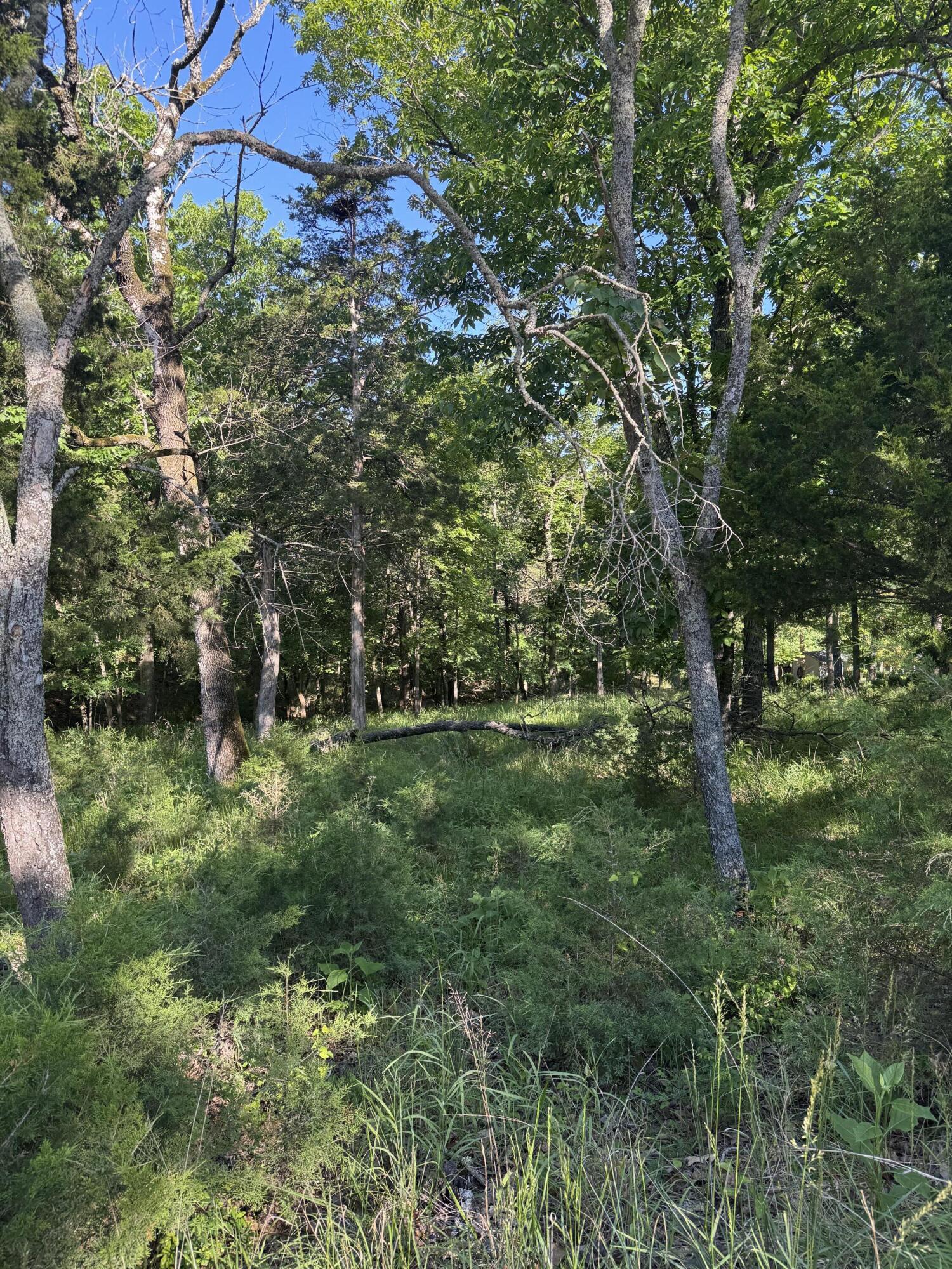 Photo of Lot 85 Cliff Drive Golden MO 65658