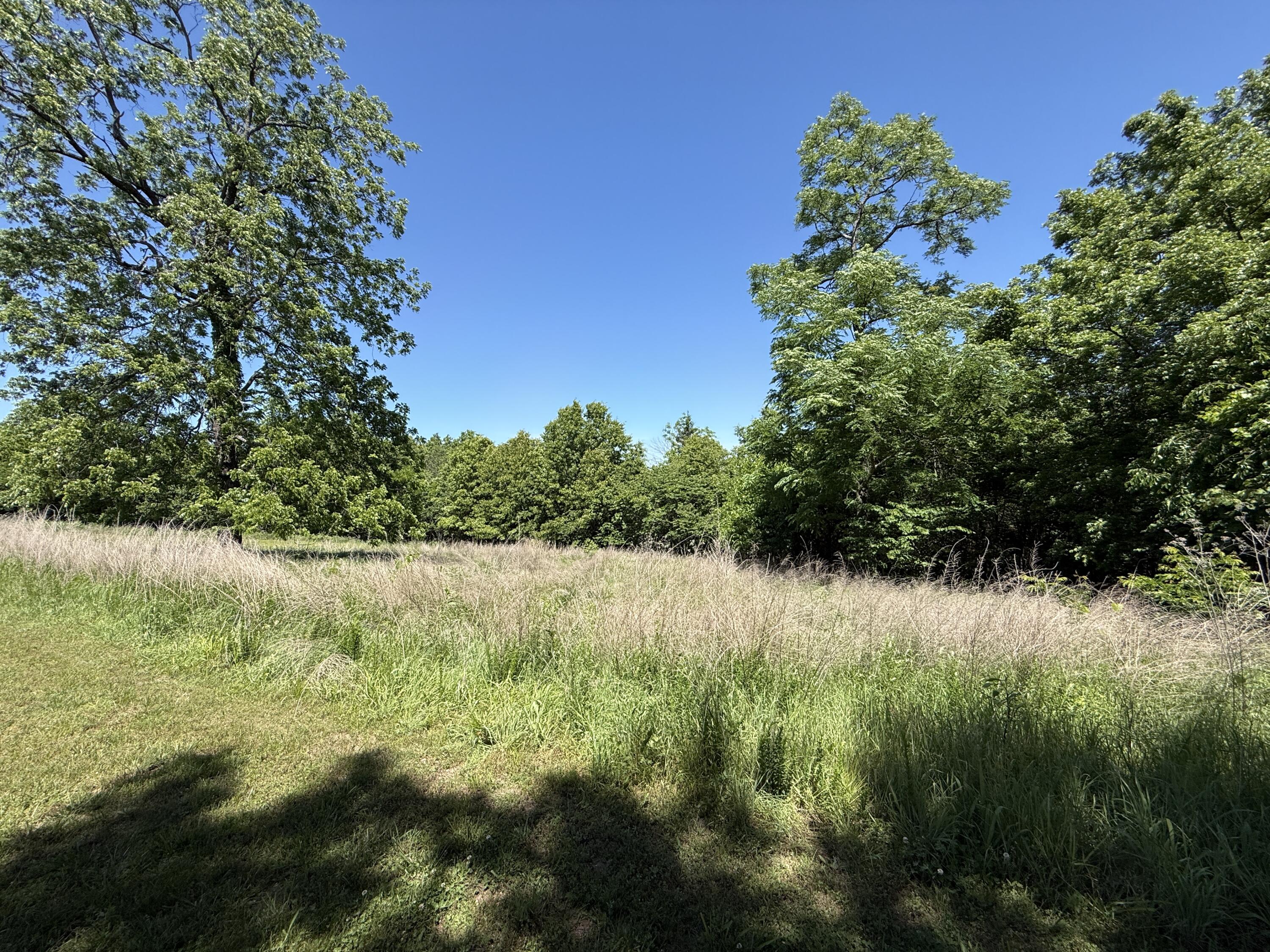 Photo of 000 S 1507 Road Stockton MO 65785