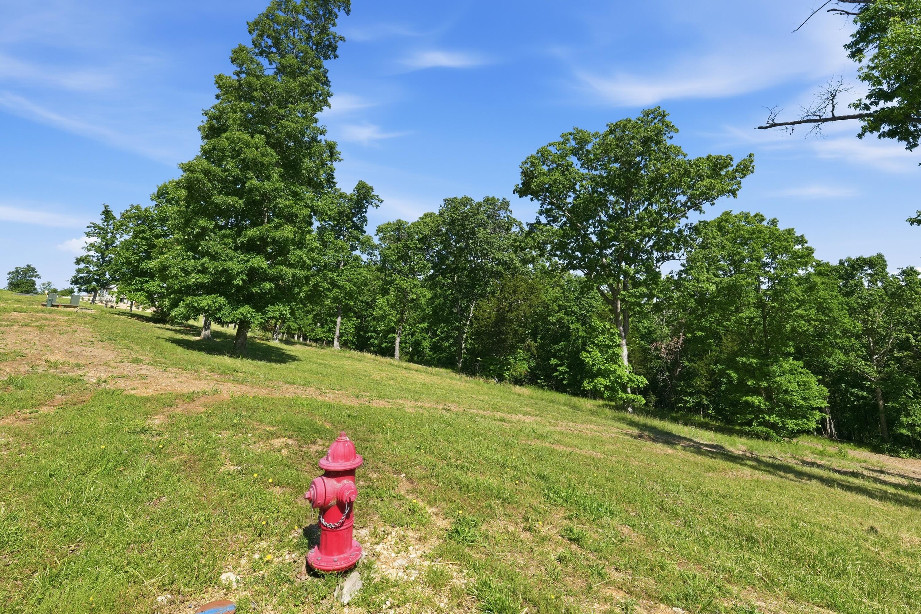 Photo of 115a,117 Valley Drive Saddlebrooke MO 65630
