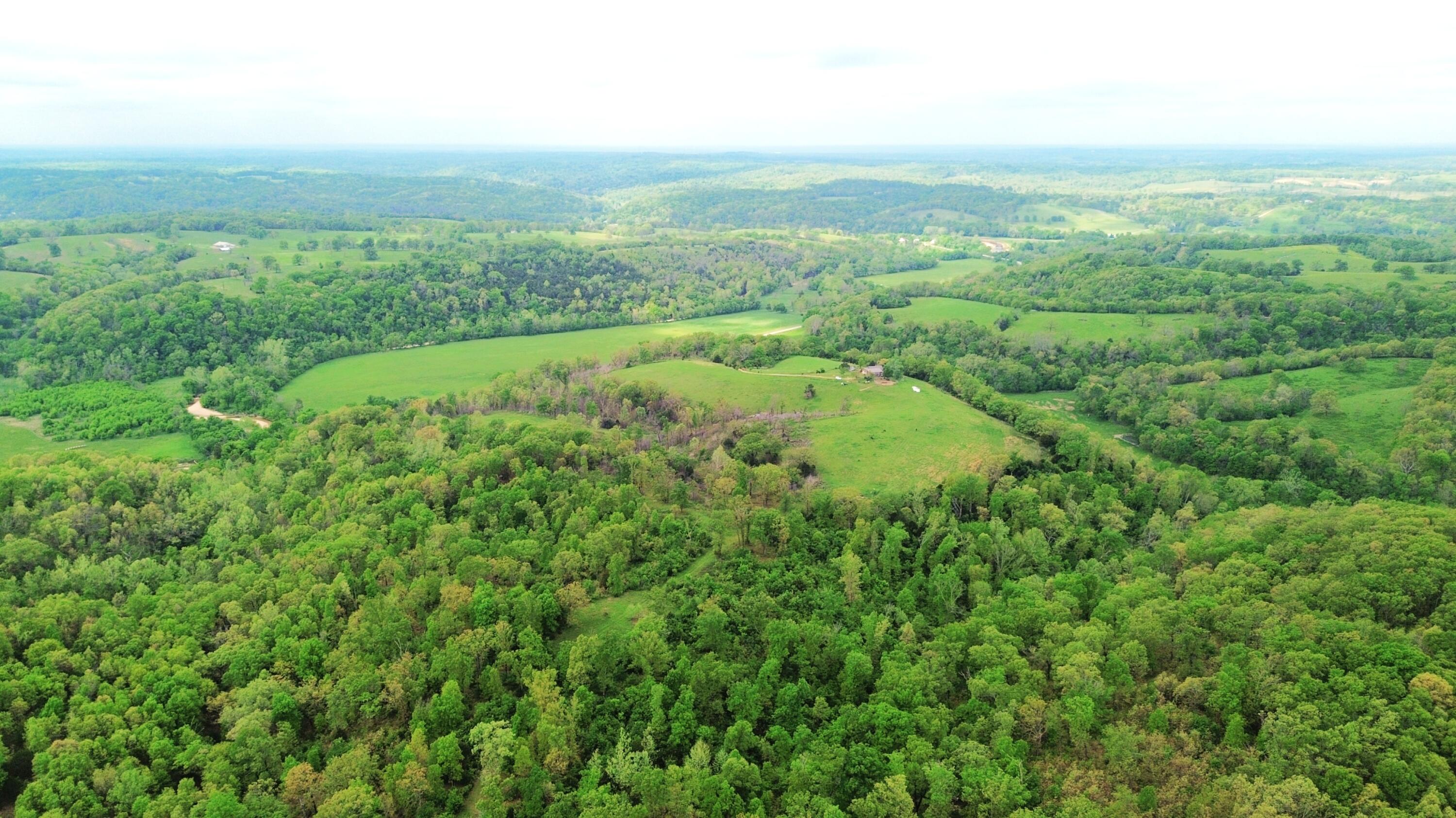 Photo of 15309 E State Highway 90 Washburn MO 65772