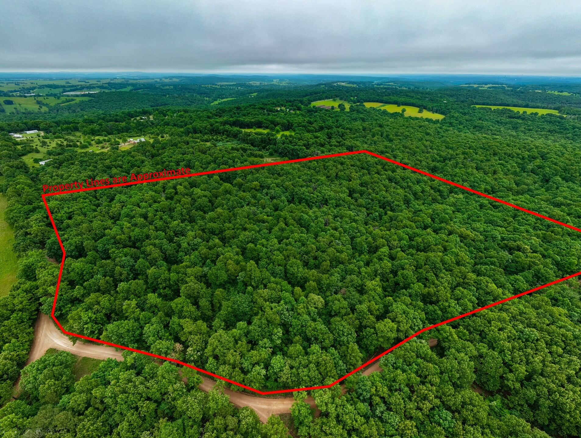 Photo of 000 Co Rd 521 #Tract 5 Hardenville MO 65666